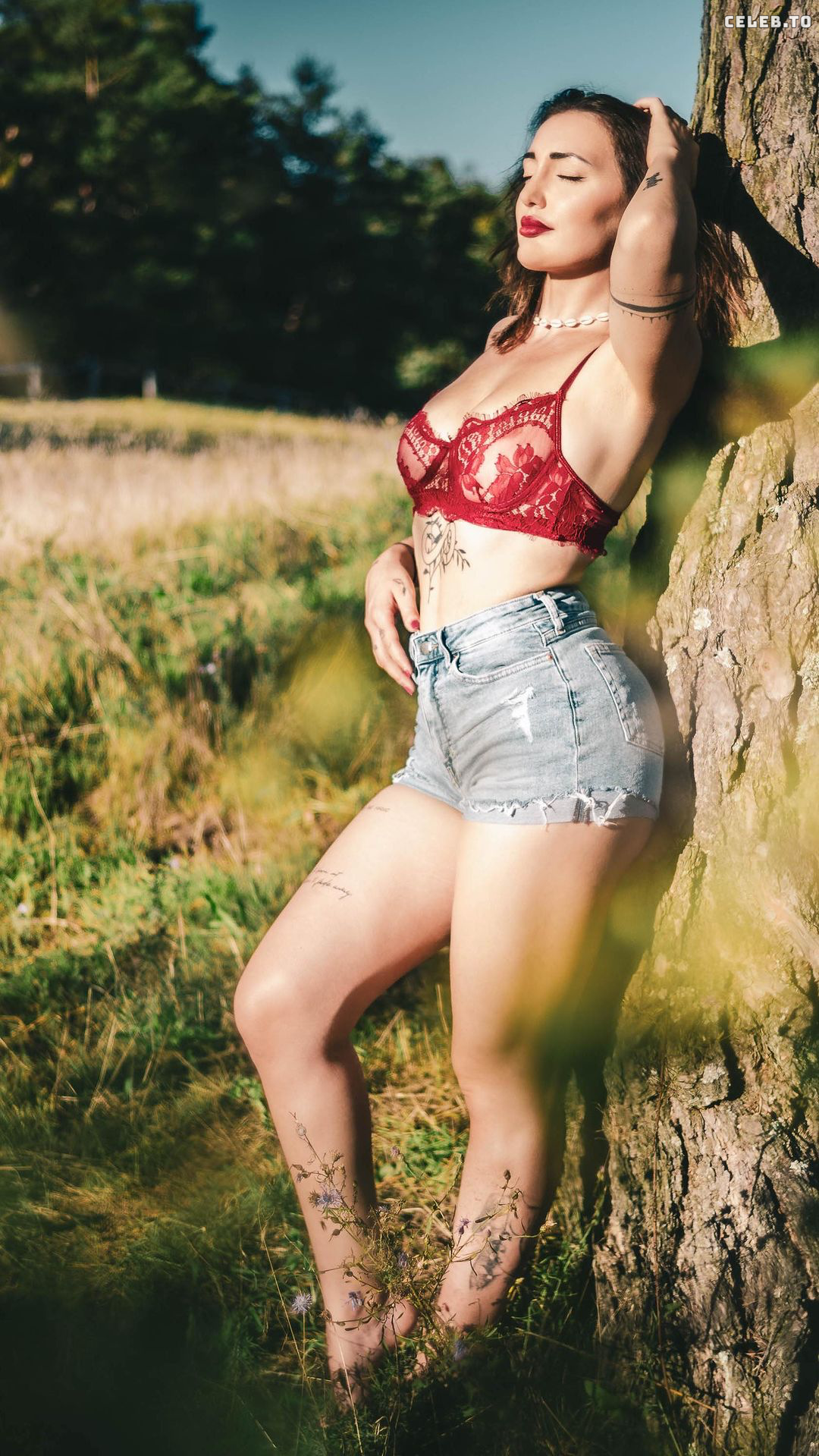 Image 1605109 from Bambizilla