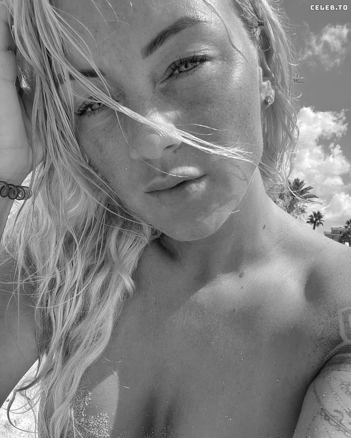 Image 1650622 from Sterniee