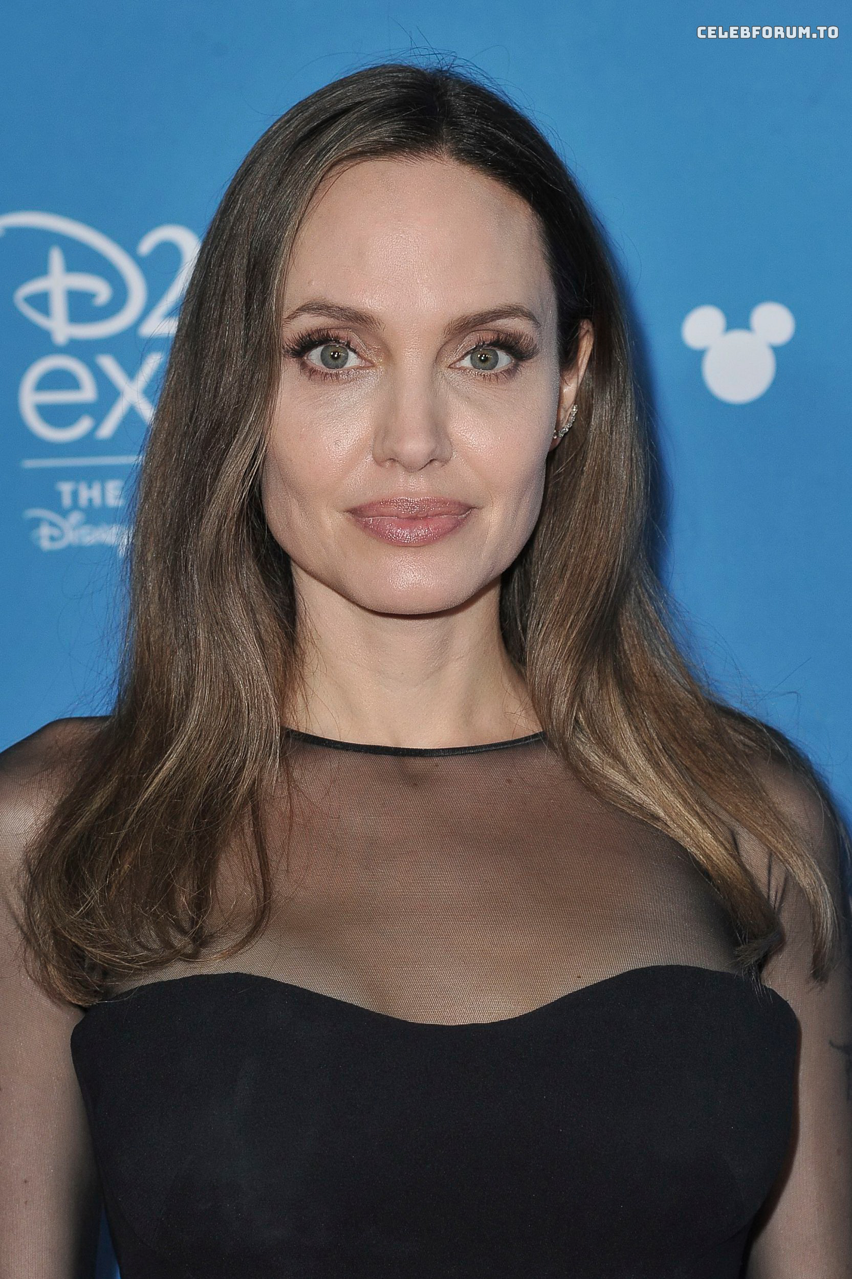 Image 1760671 from Angelina Jolie