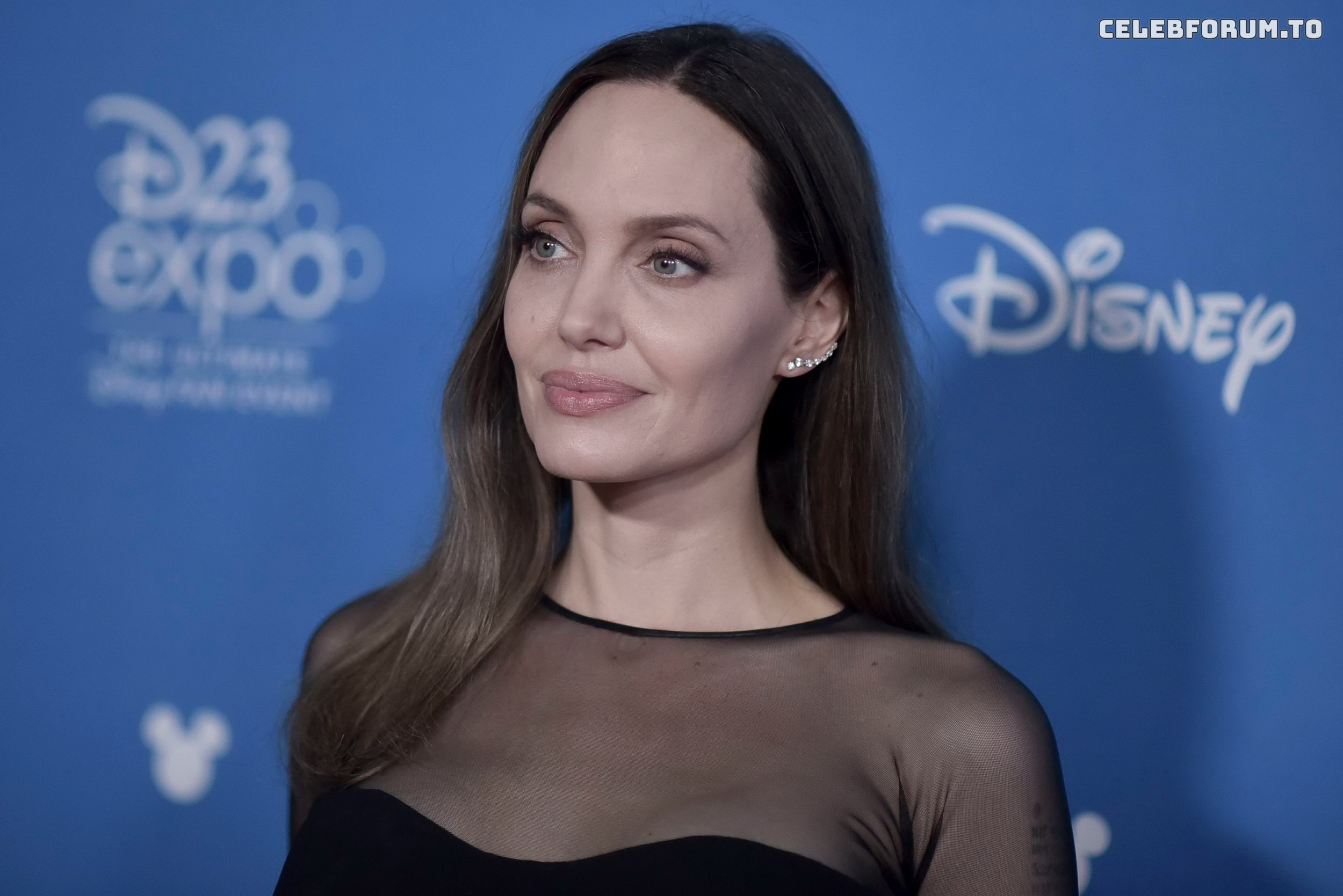 Image 1761023 from Angelina Jolie