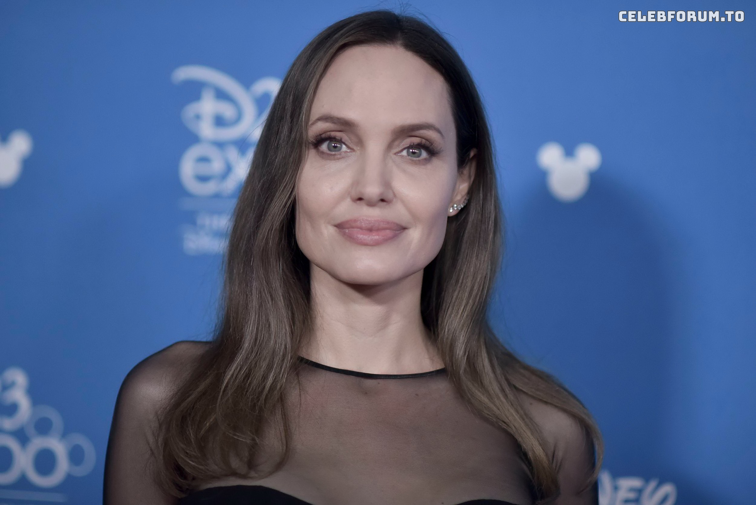Image 1761114 from Angelina Jolie