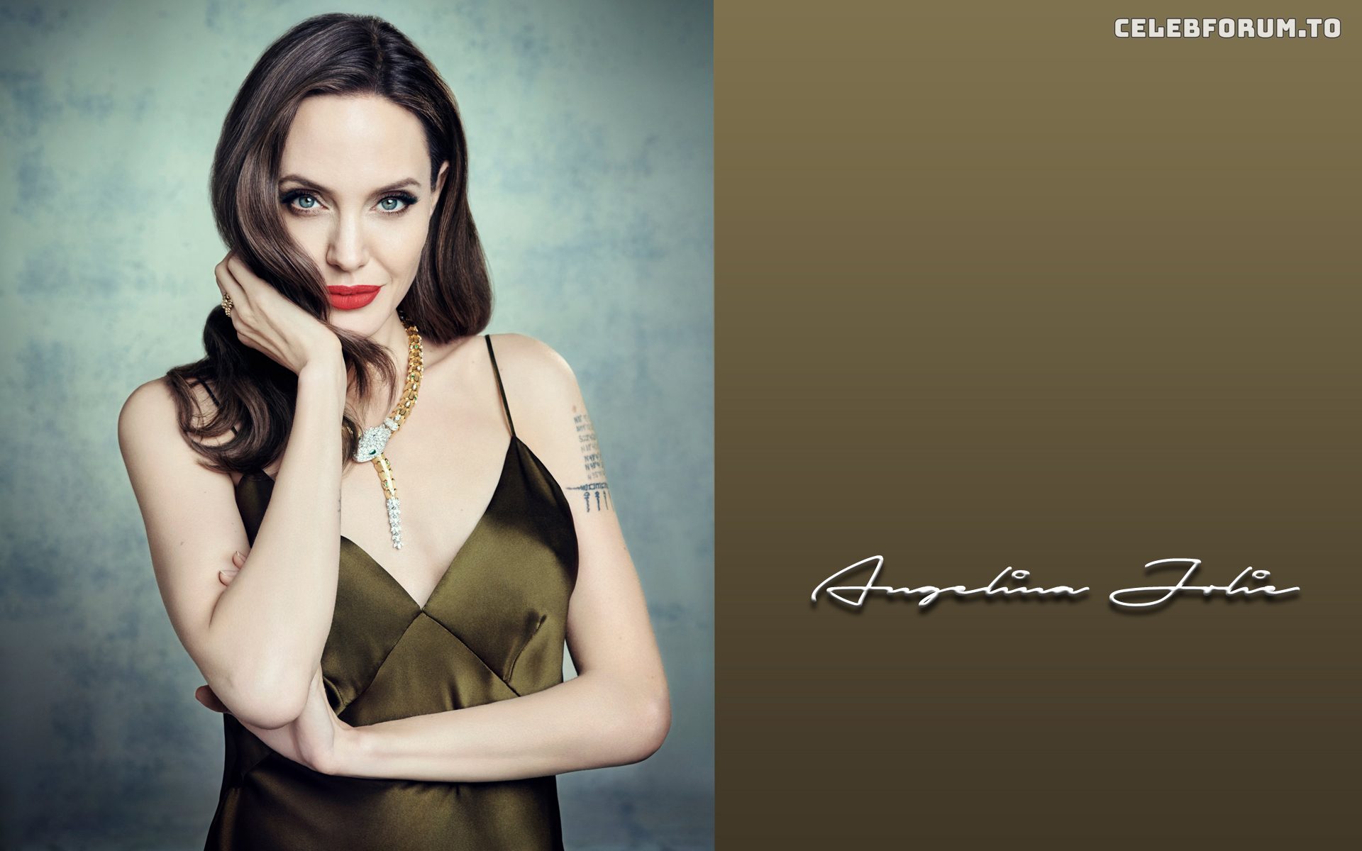 Image 1761616 from Angelina Jolie