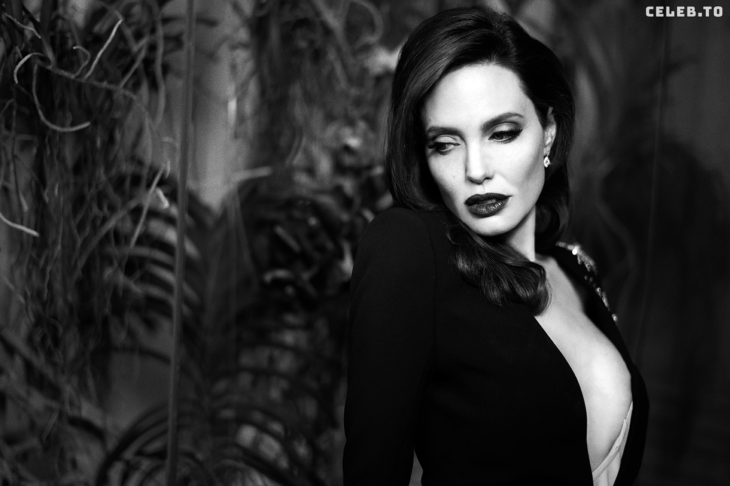 Image 1763551 from Angelina Jolie