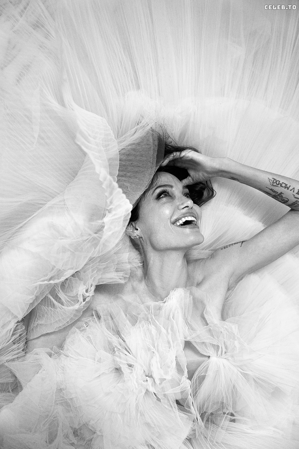 Image 1764010 from Angelina Jolie