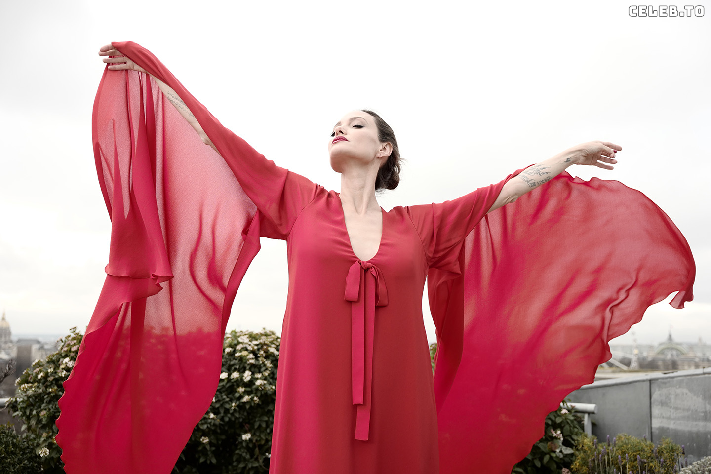 Image 1764281 from Angelina Jolie