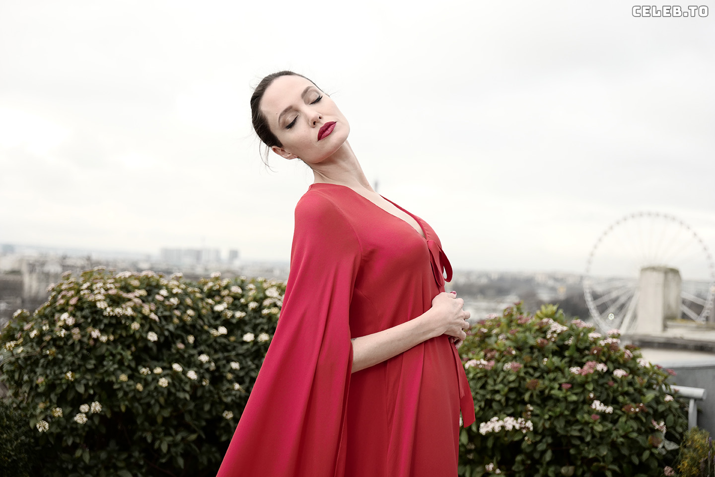Image 1764356 from Angelina Jolie