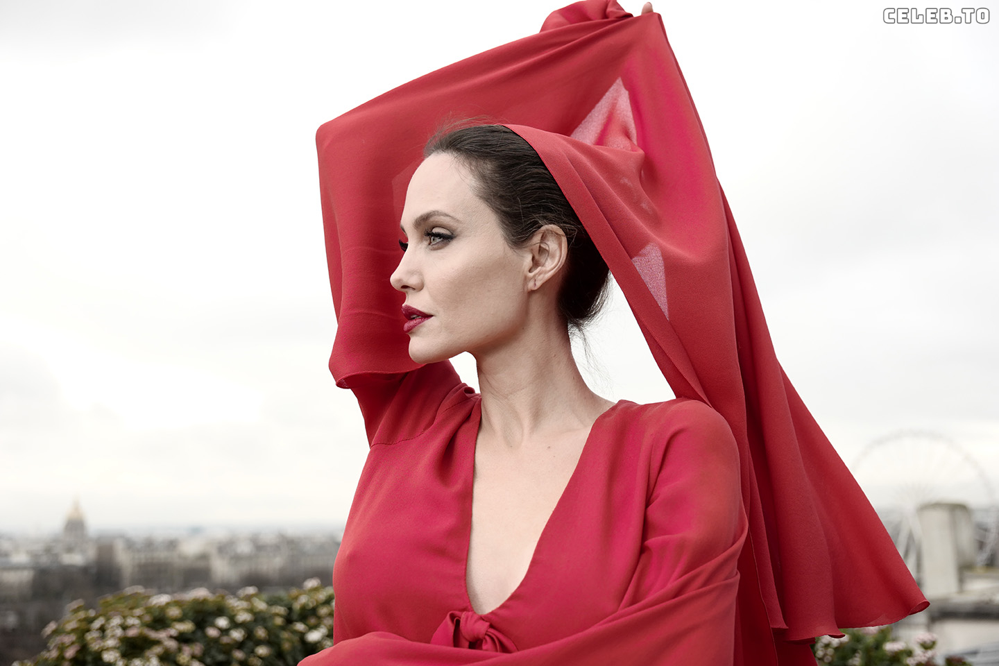 Image 1764405 from Angelina Jolie