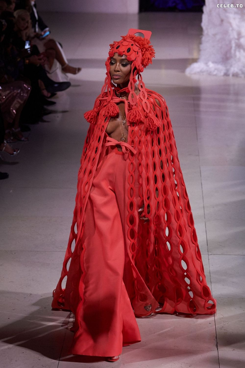 Image 1816935 from Naomi Campbell