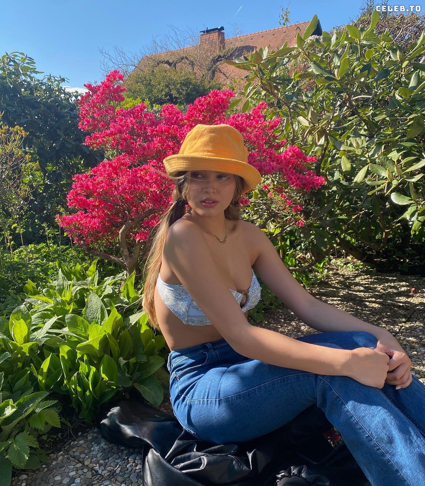 Image 1871524 from Kiana Stadler