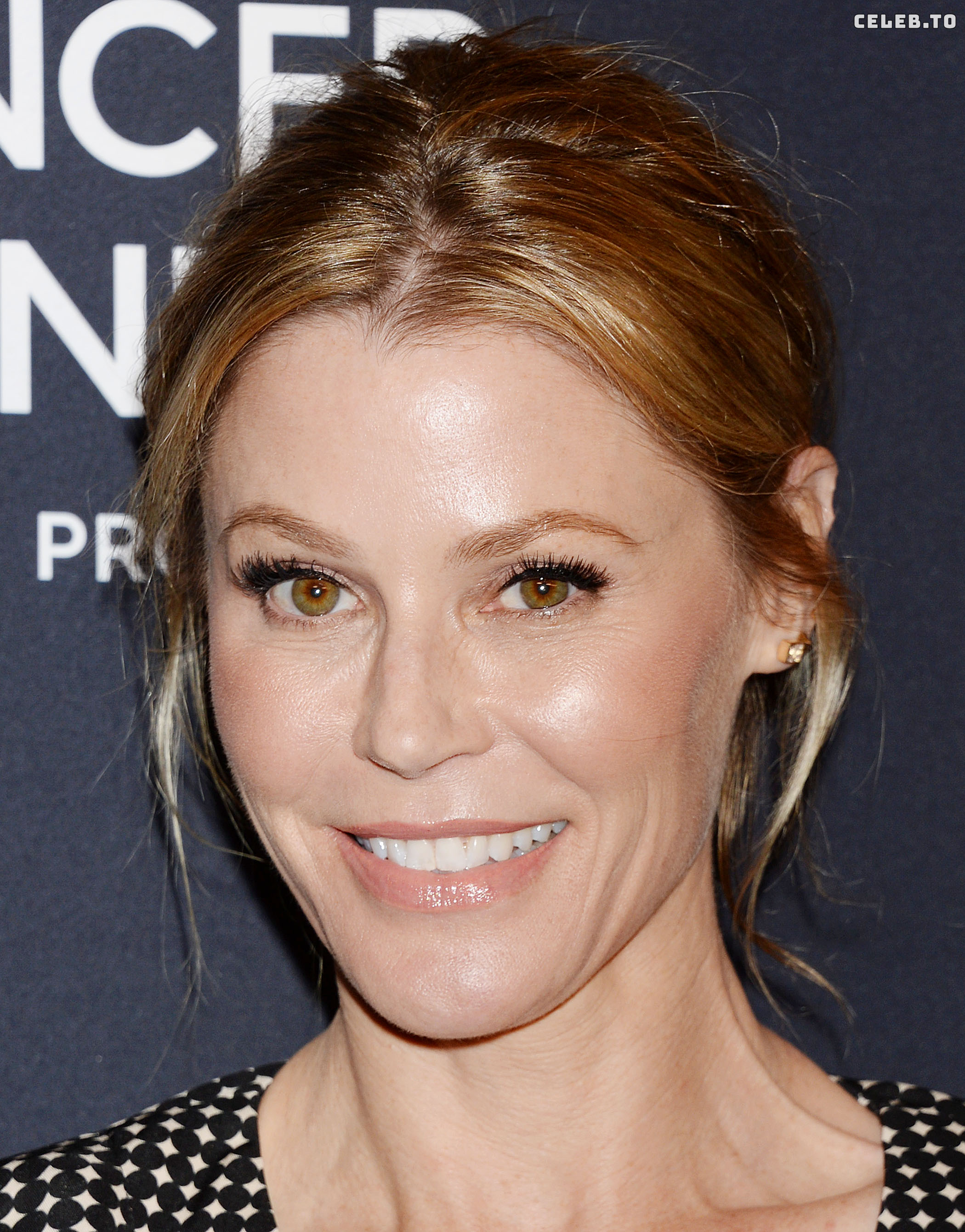 Image 2005584 from Julie Bowen
