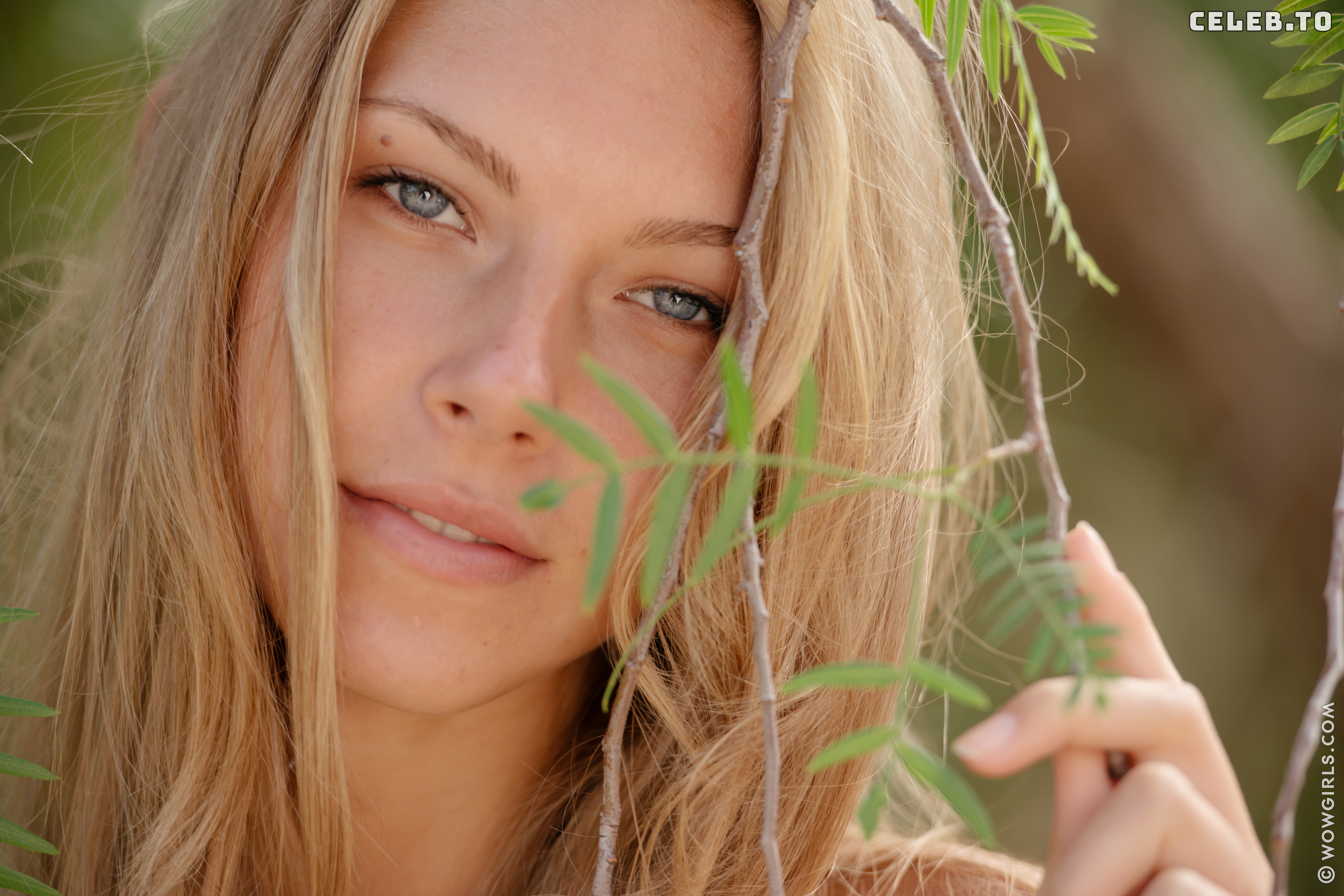 Image 2047664 from Krystal Boyd
