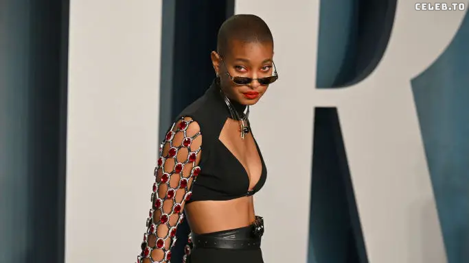 Image 2066456 from Willow Smith