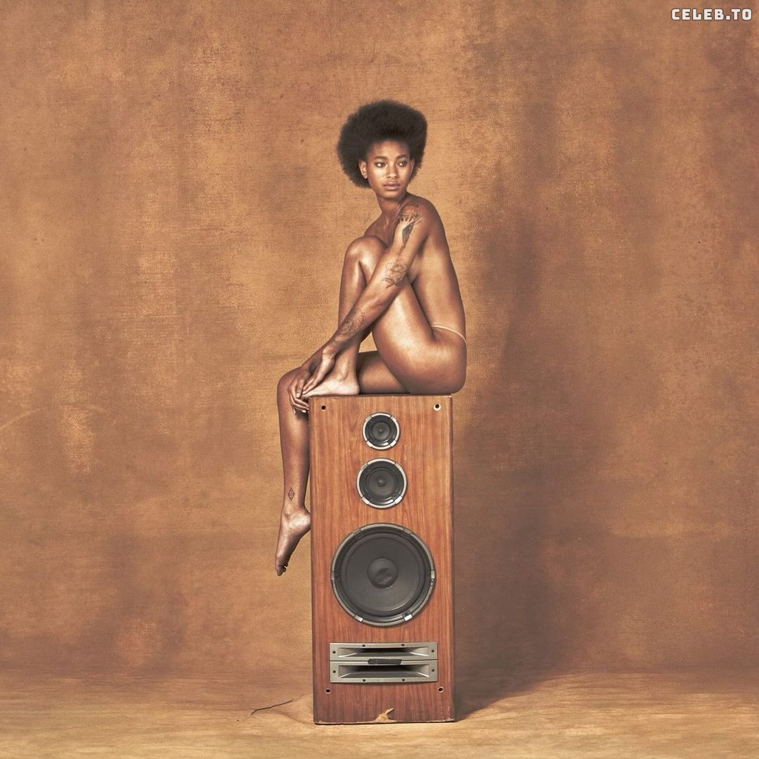 Image 2066534 from Willow Smith