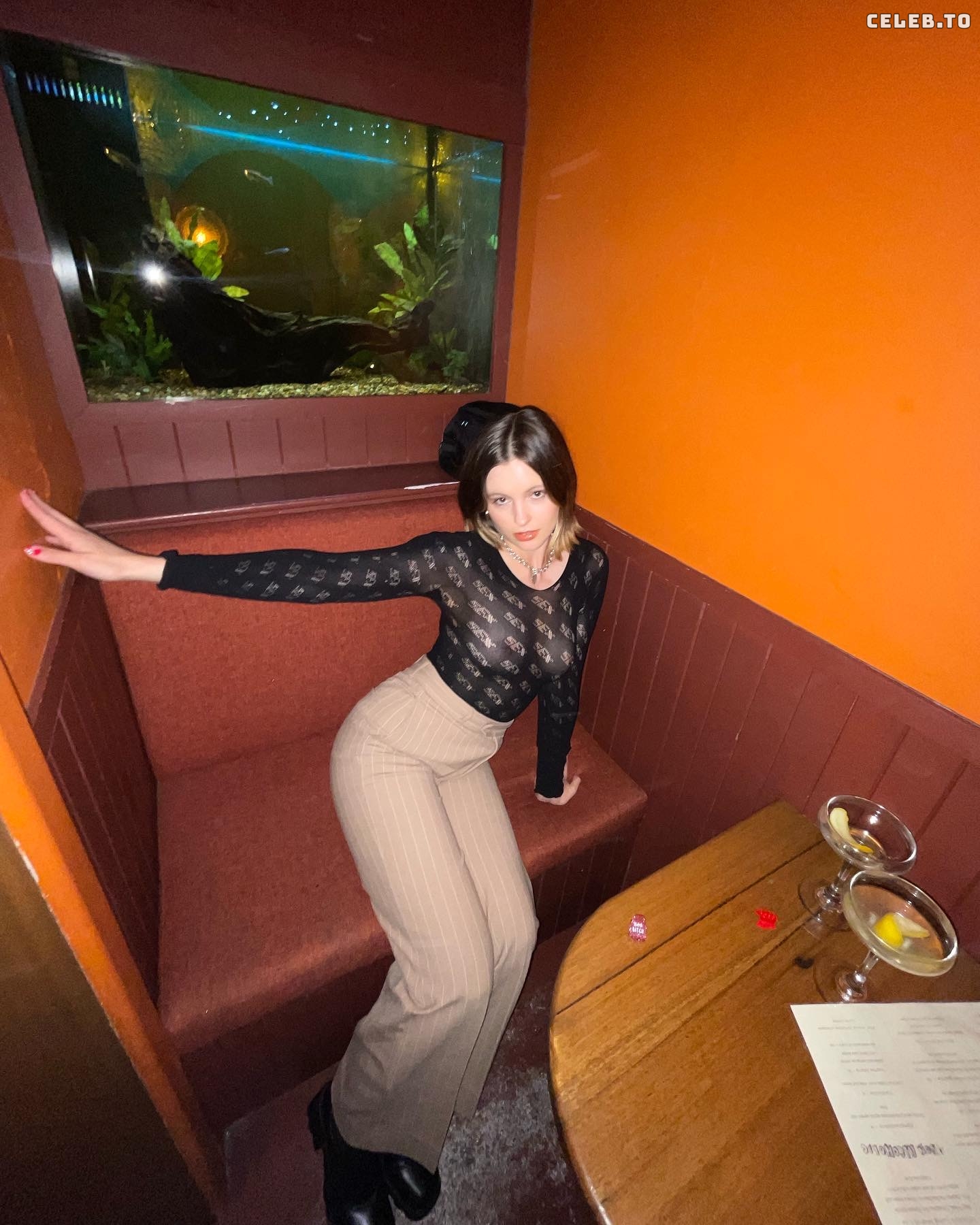 Image 2107931 from Scarlett Stevens