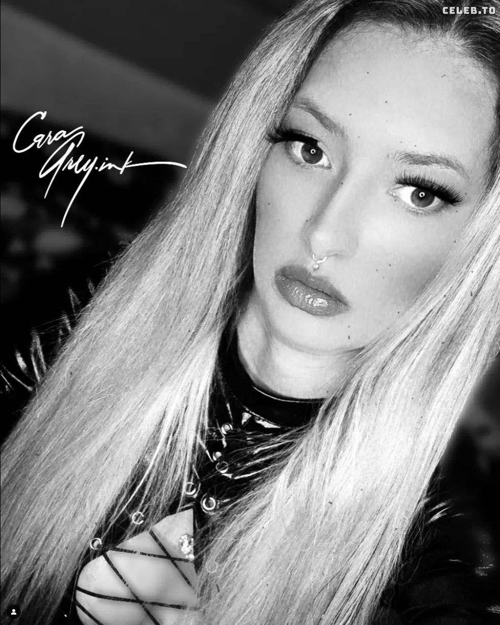 Image 21334 from CaraGrey.ink