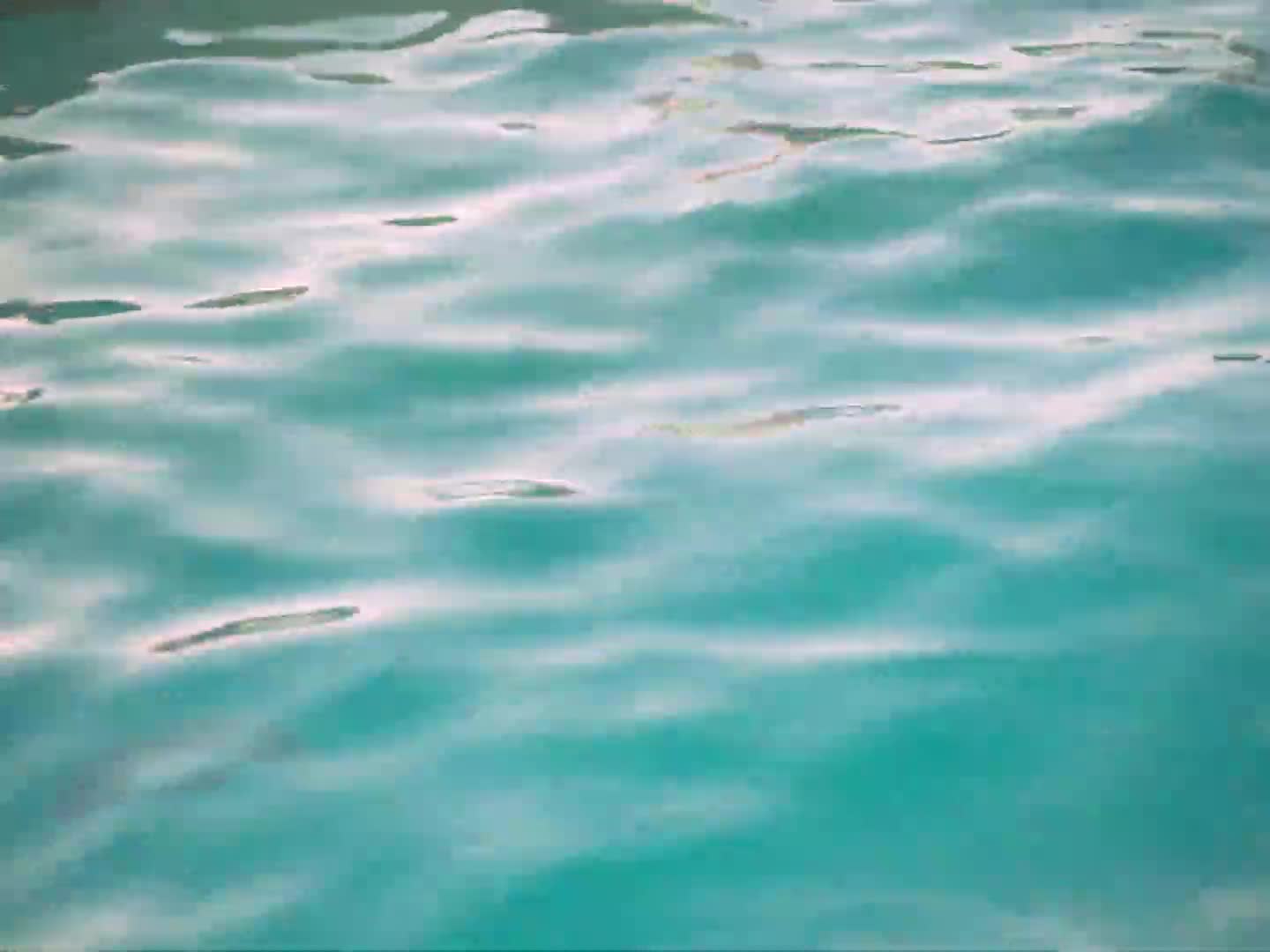 Video 7570 from Victoria Justice