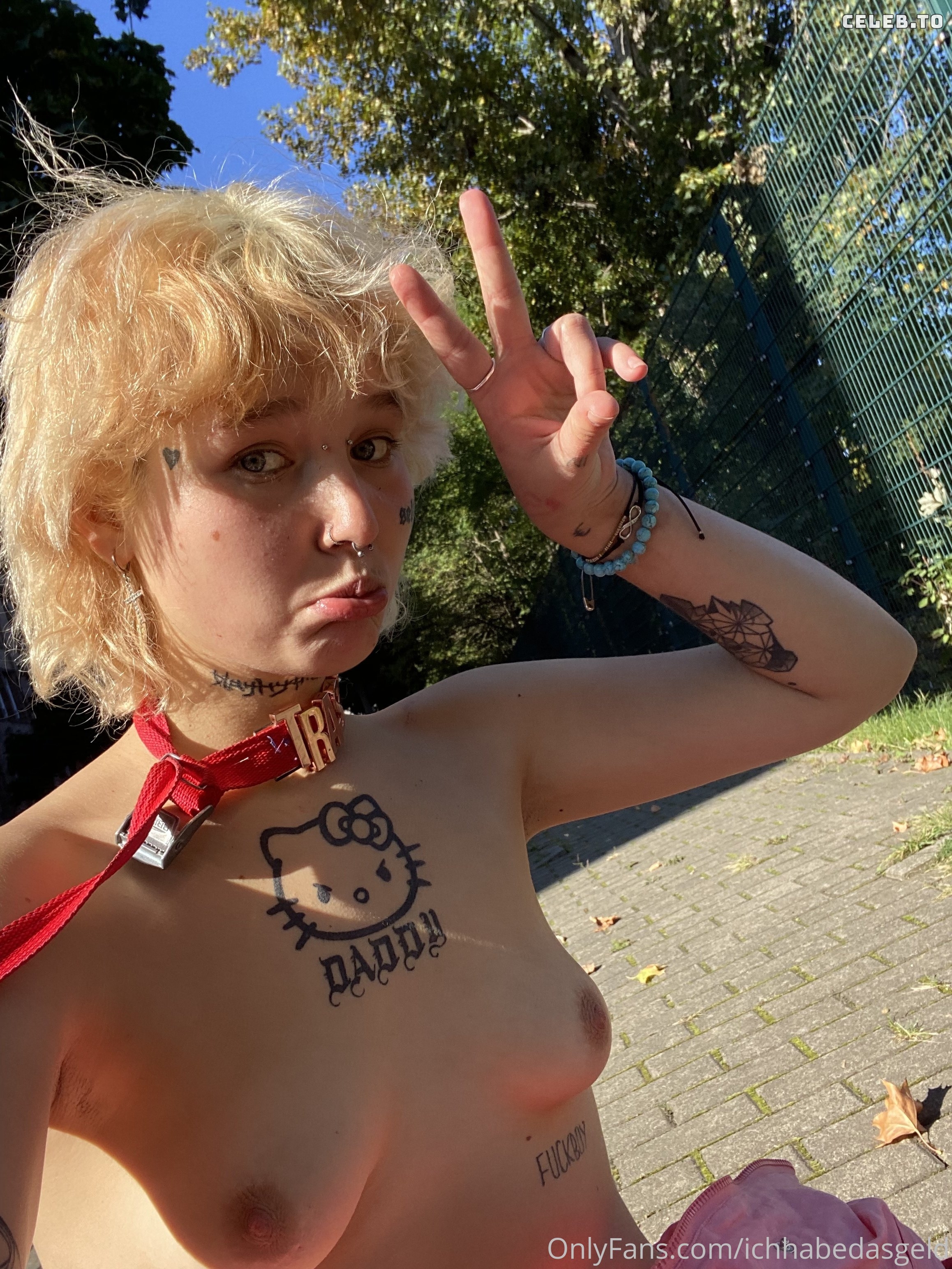 Image 2563442 from ichhabedasgeld