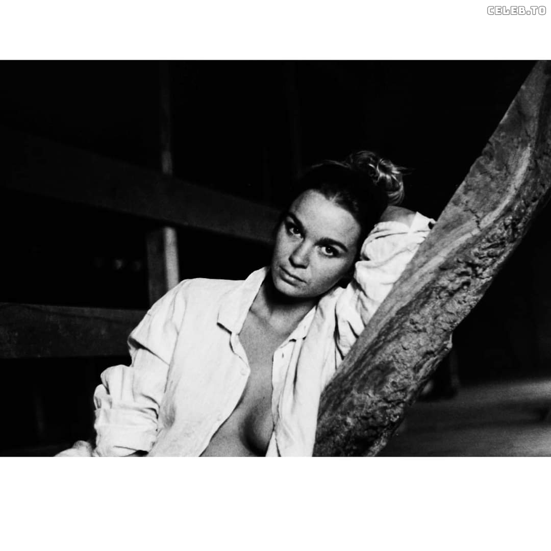 Image 2574267 from Die_mareike