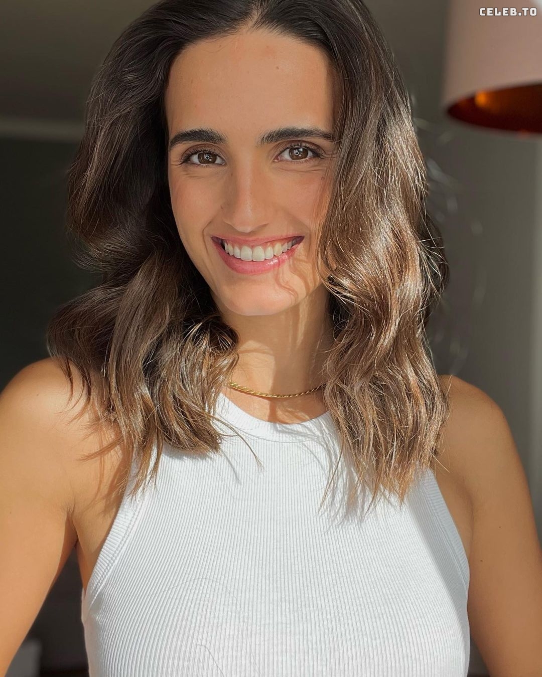 Image 2642766 from Laura Leonarda Luisa Pittana