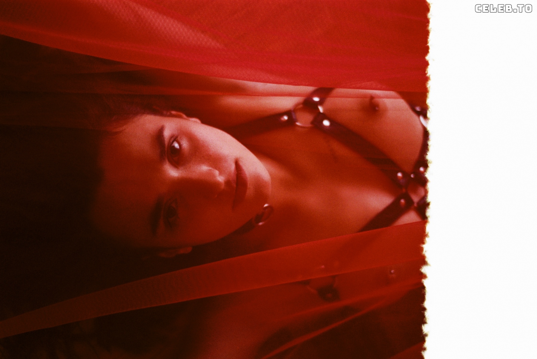 Image 2669598 from Polina