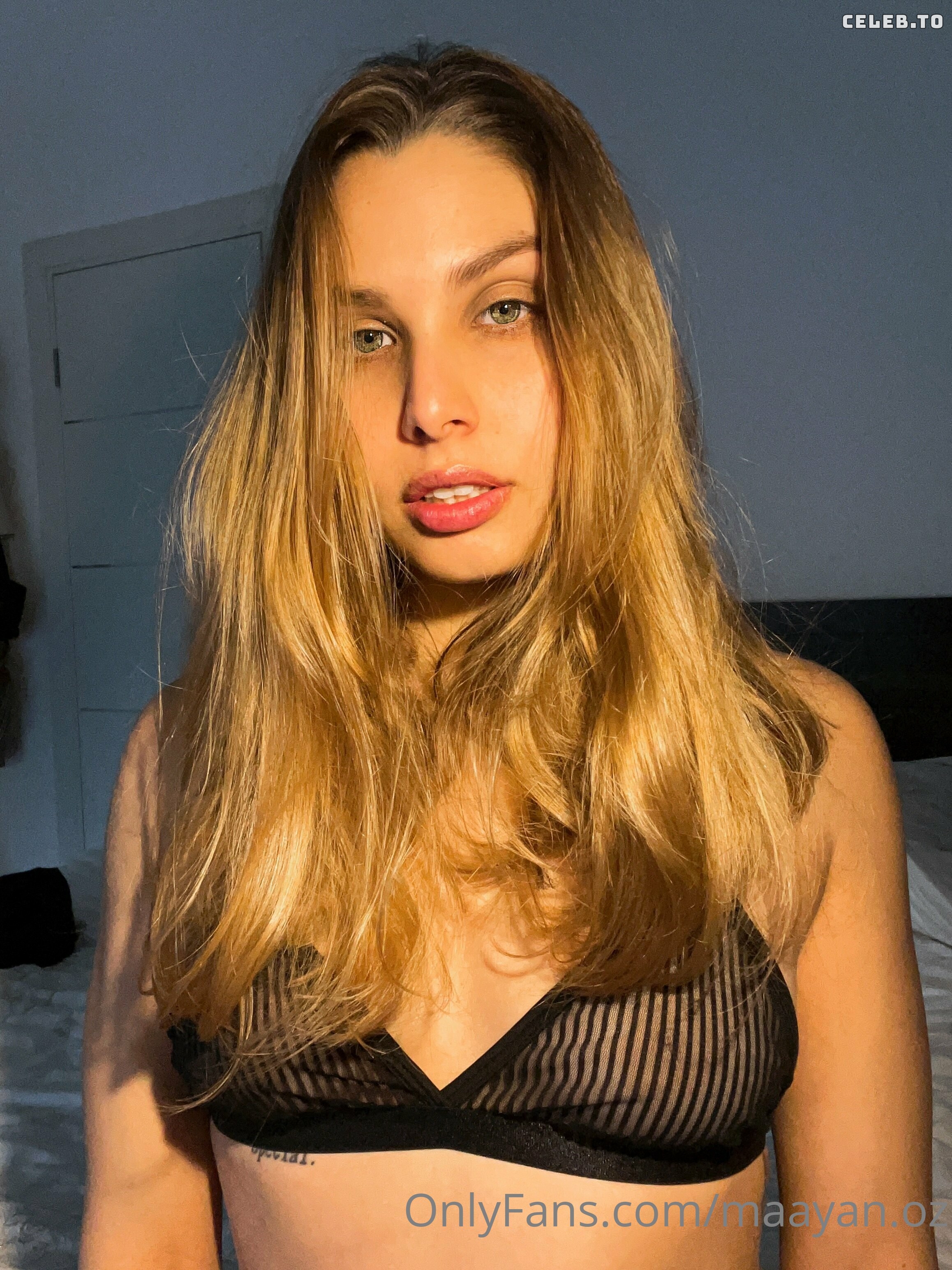 Image 2701653 from Maayan Oz