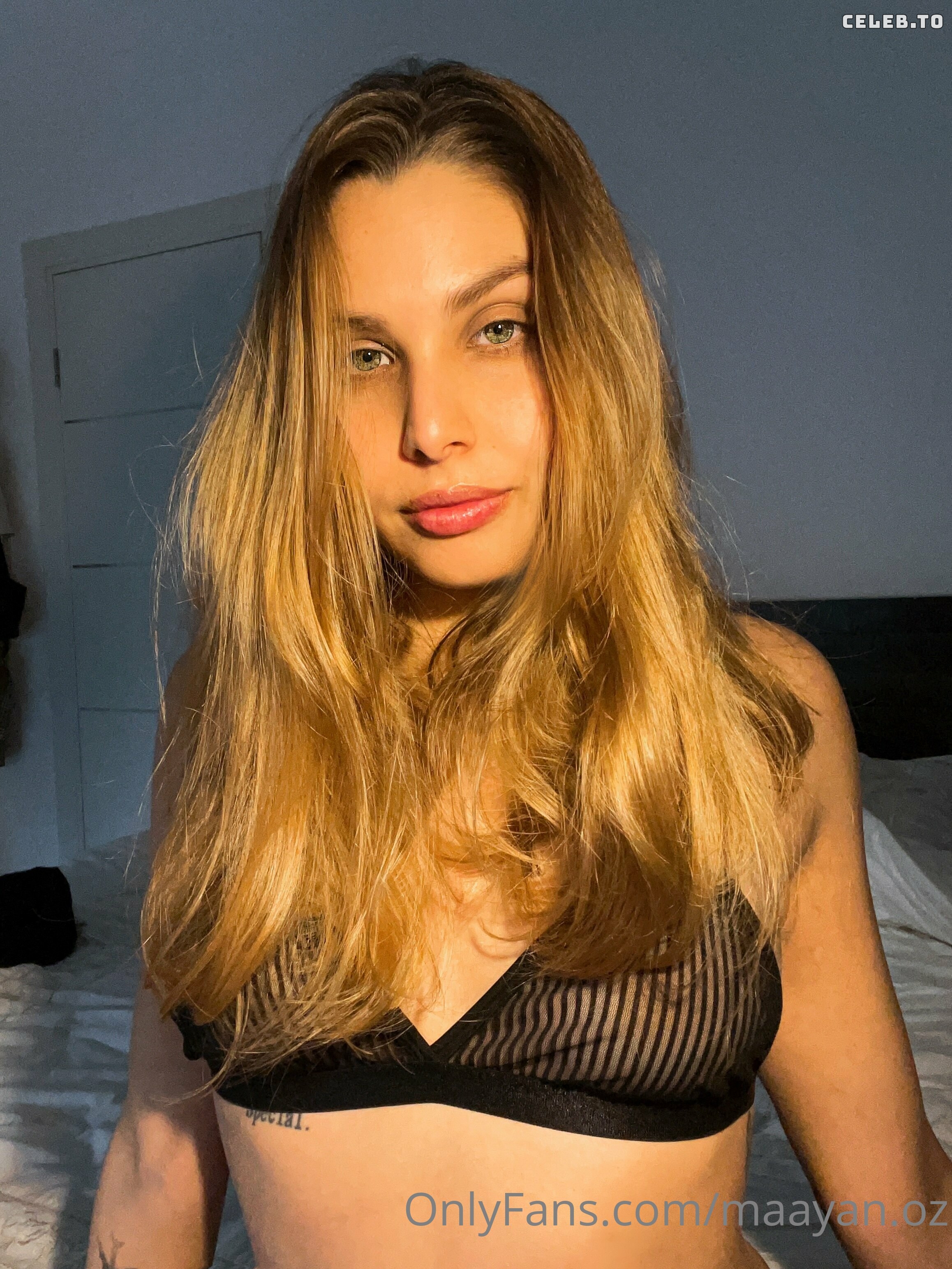 Image 2701658 from Maayan Oz
