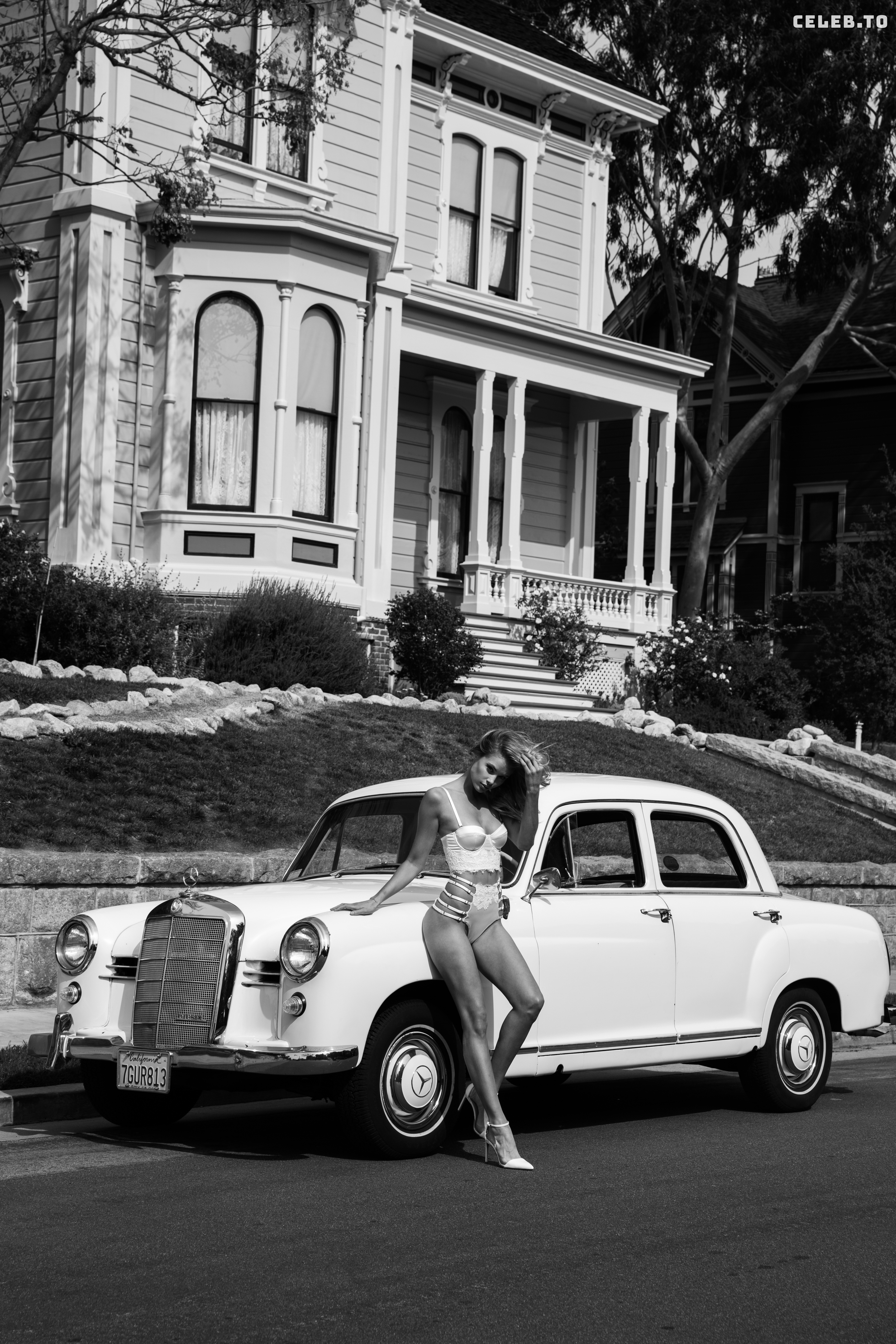 Image 2714351 from Allie Leggett