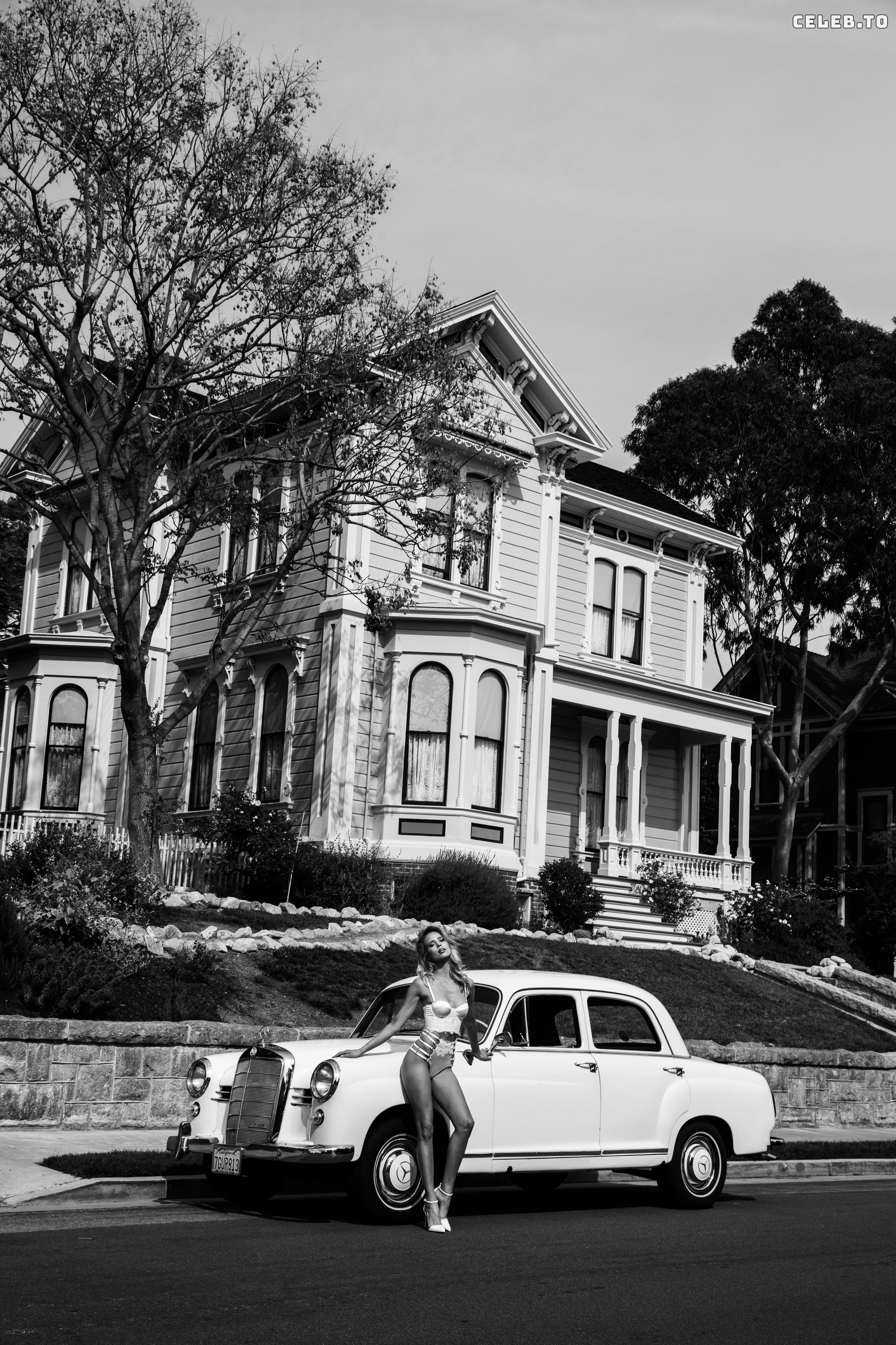 Image 2714558 from Allie Leggett