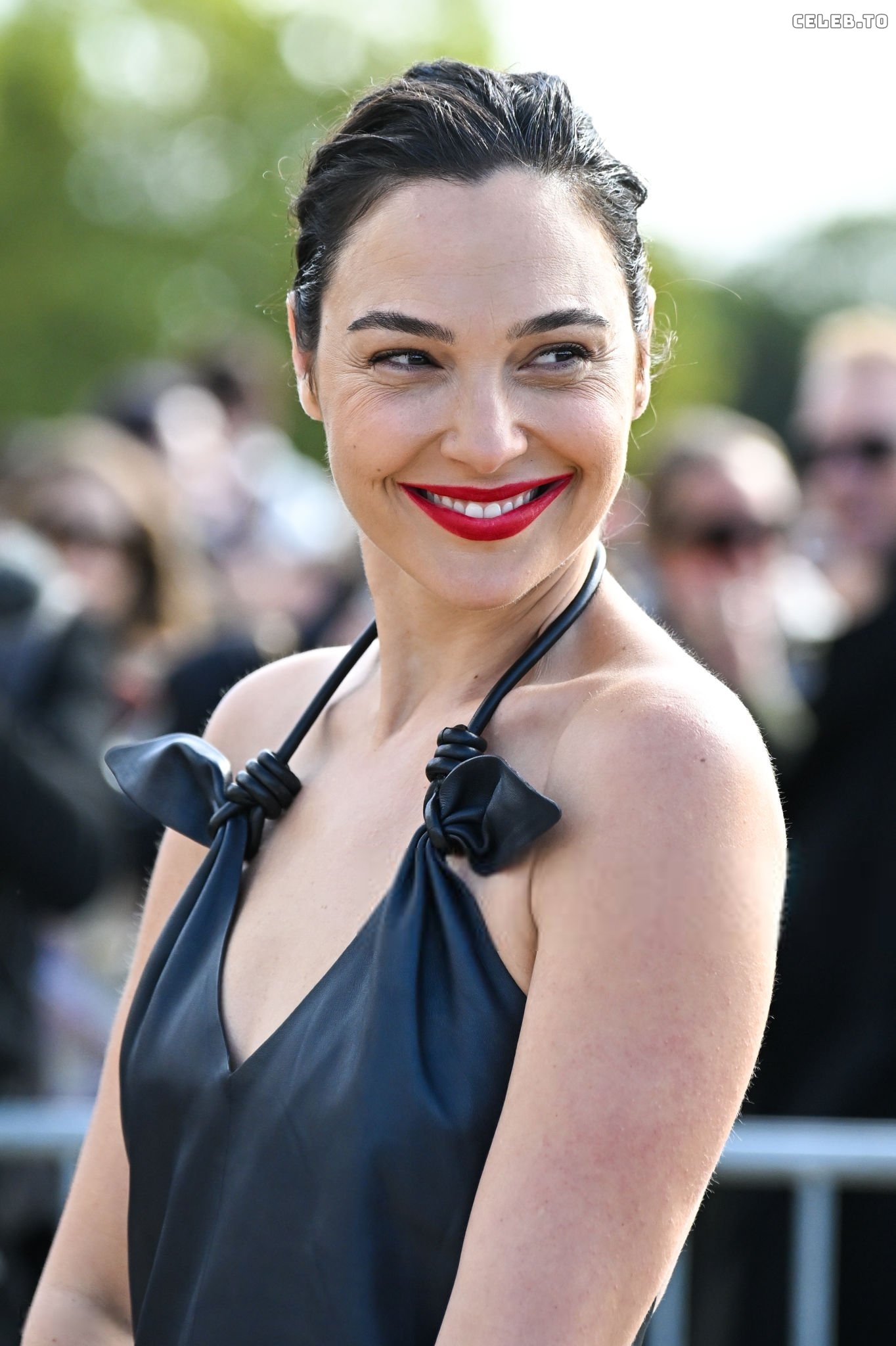 Image 2864040 from Gal Gadot