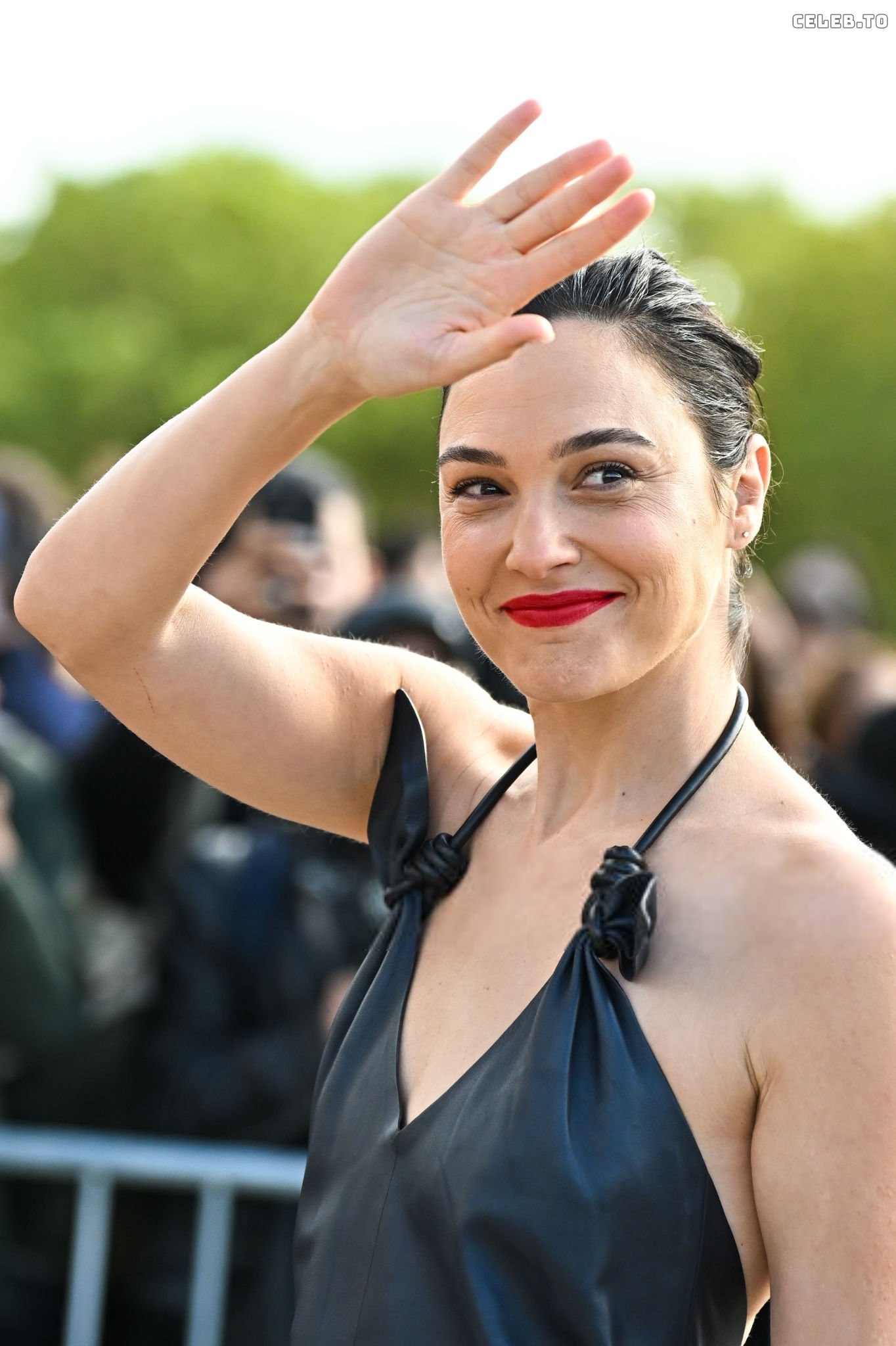 Image 2864050 from Gal Gadot