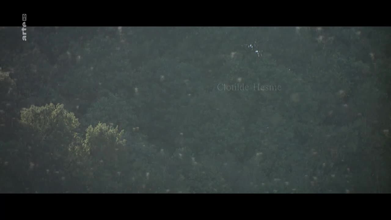 Video 29003 from Karin Viard