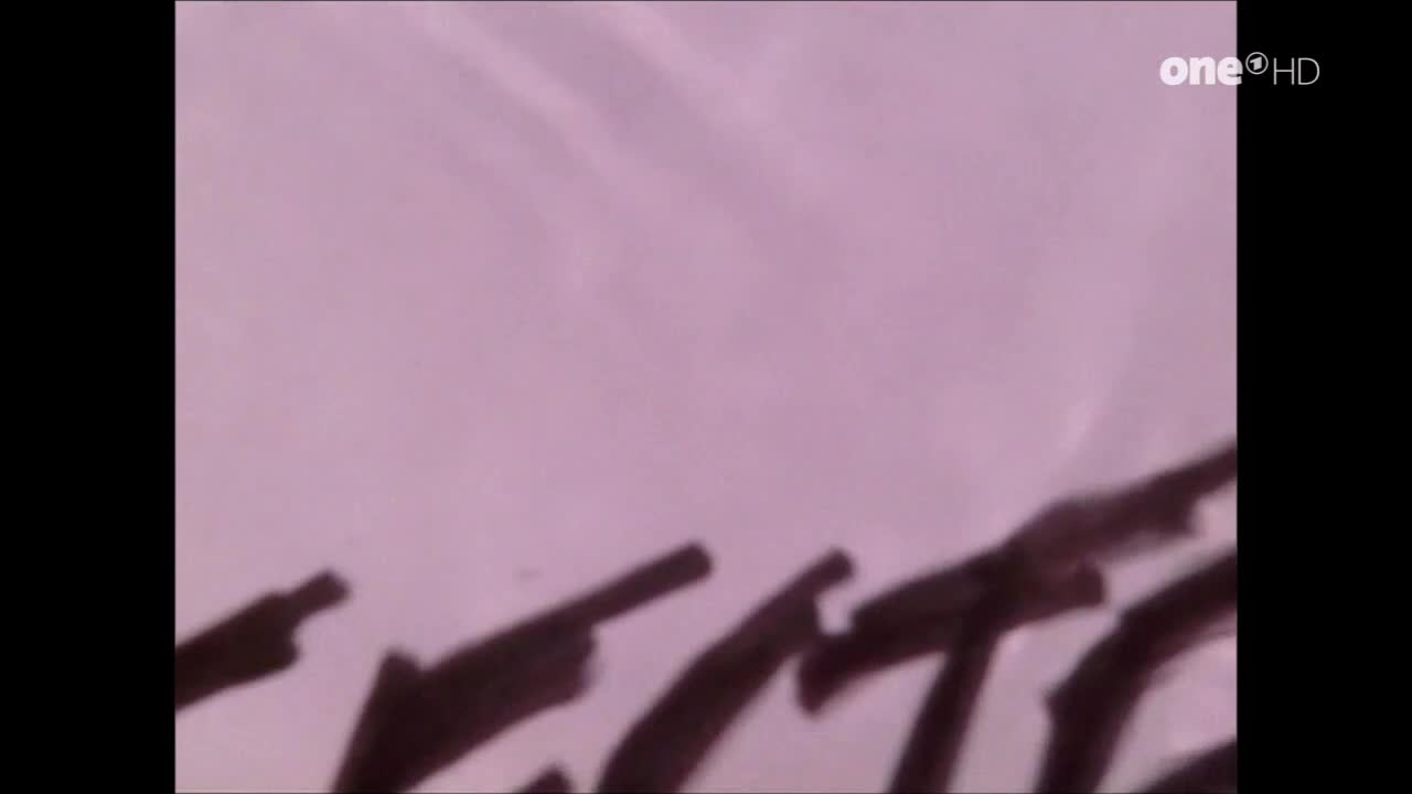 Video 29391 from Trine Dyrholm