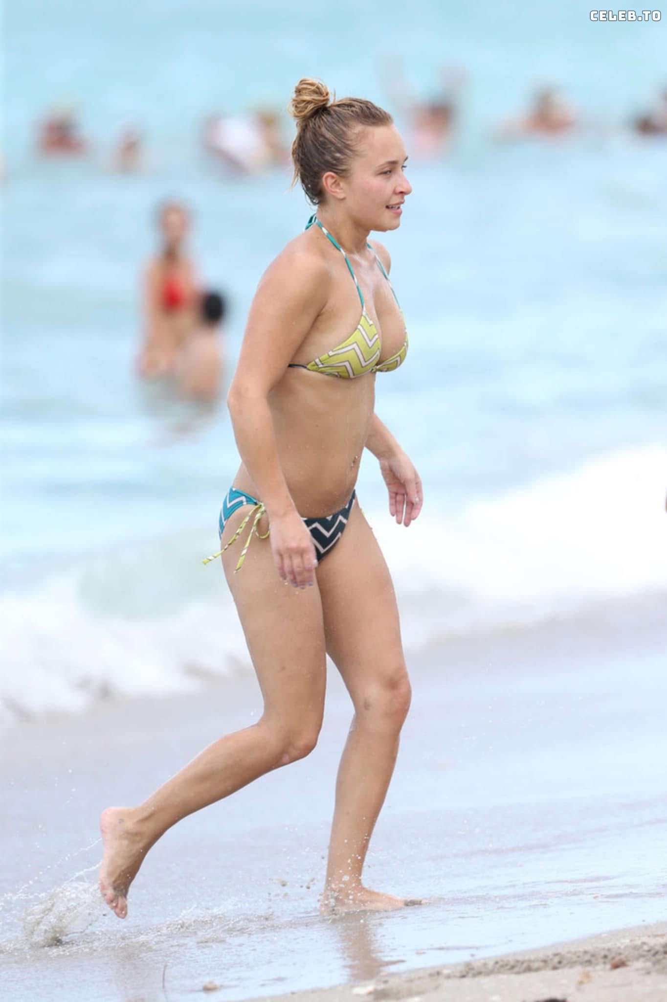 Image 2912653 from Hayden Panettiere