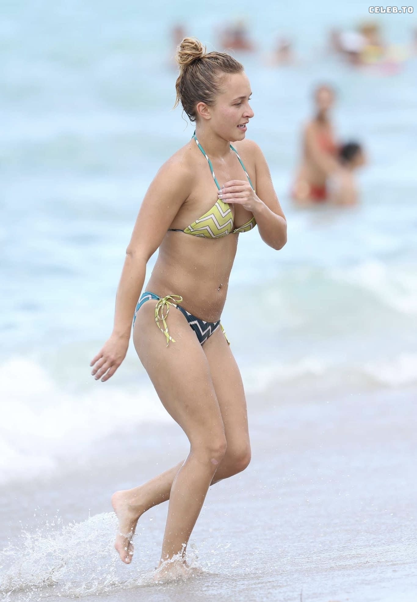 Image 2912654 from Hayden Panettiere