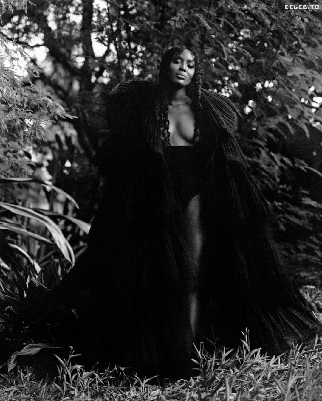 Image 2913265 from Naomi Campbell