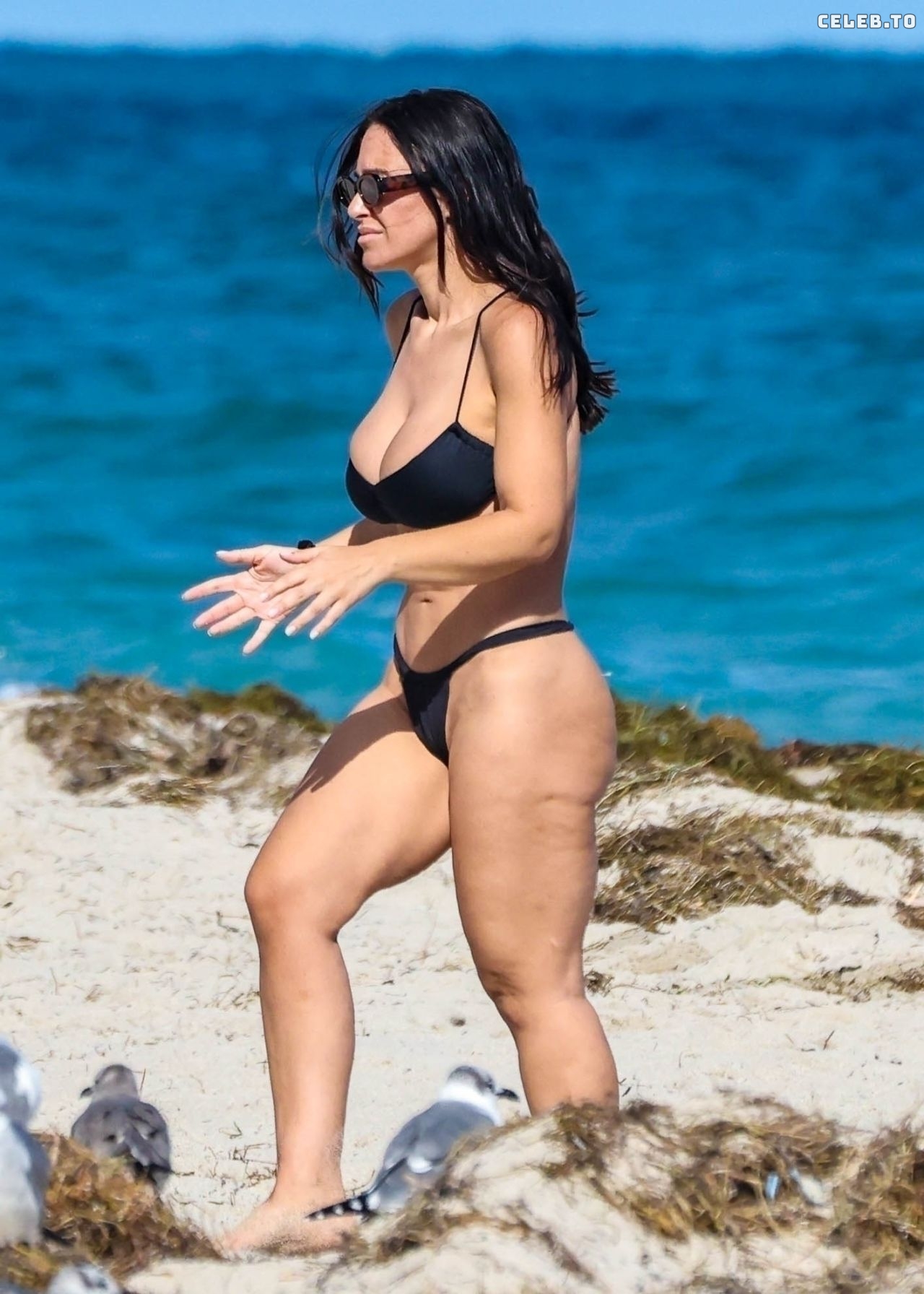 Image 2978297 from Lauren Pisciotta