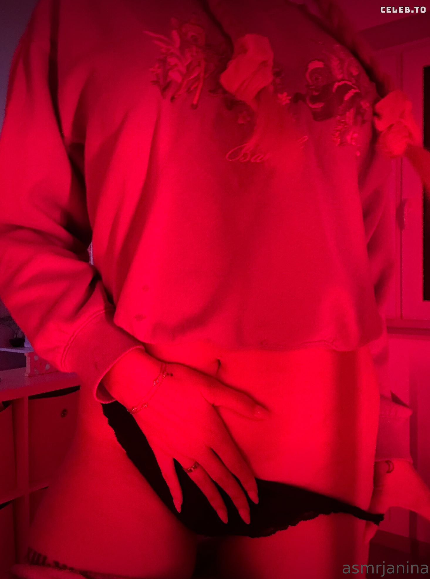 Image 3046103 from ASMR Janina