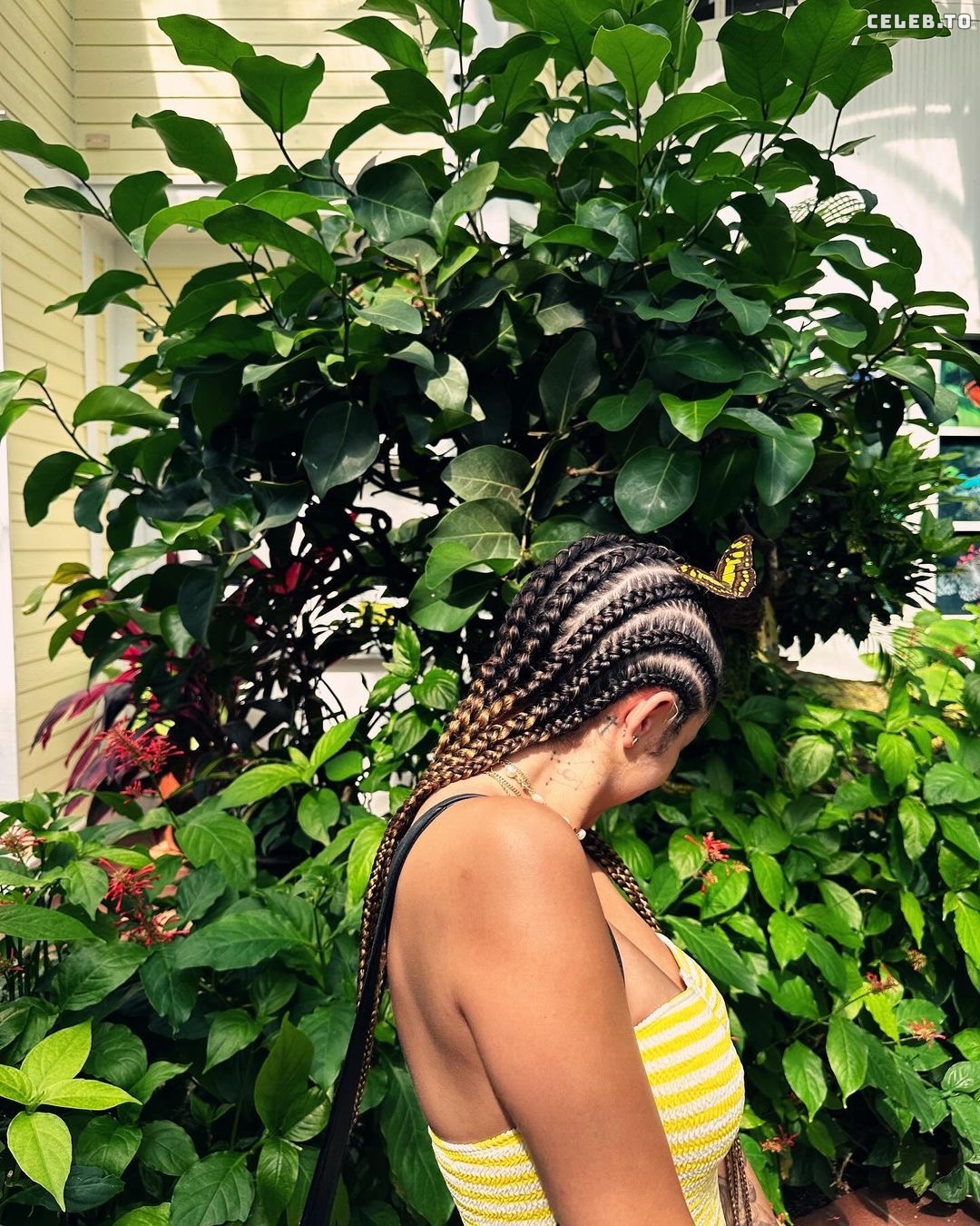 Image 3401795 from Malu Trevejo