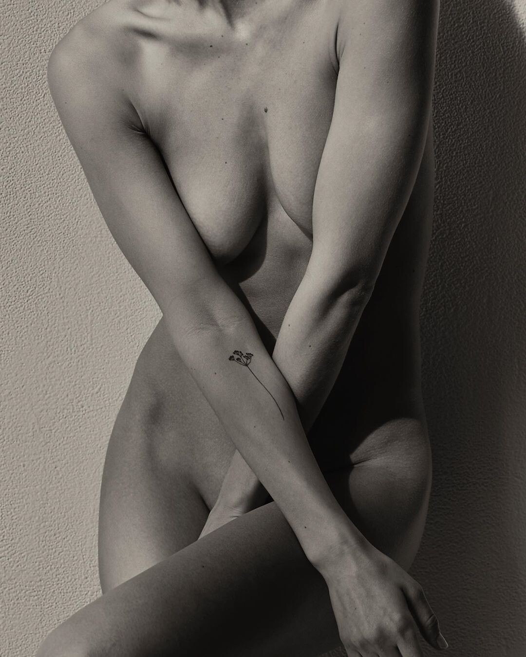 Image 3574827 from Johanne Landbo