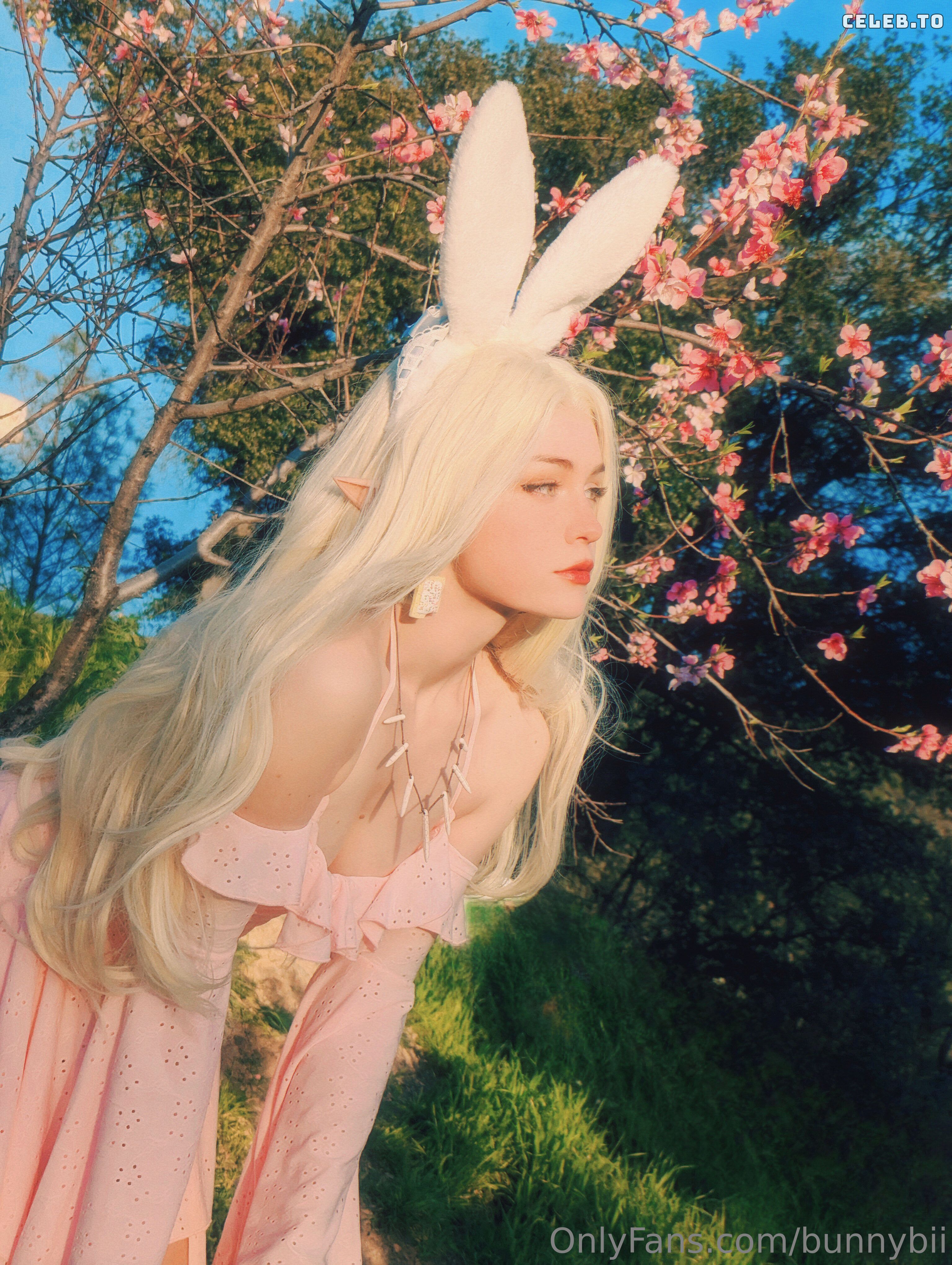 Image 426698 from BunnyBii