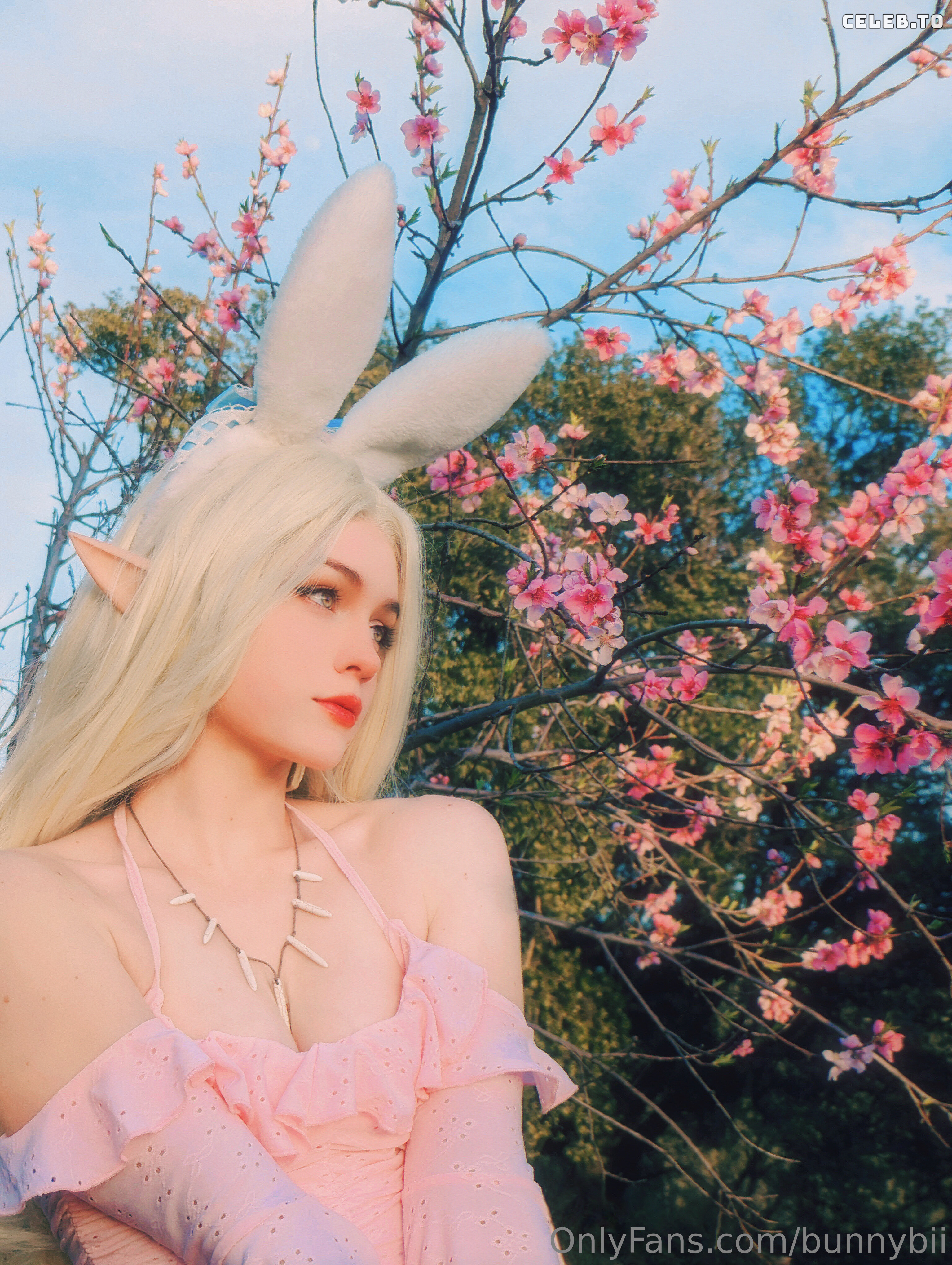 Image 426756 from BunnyBii