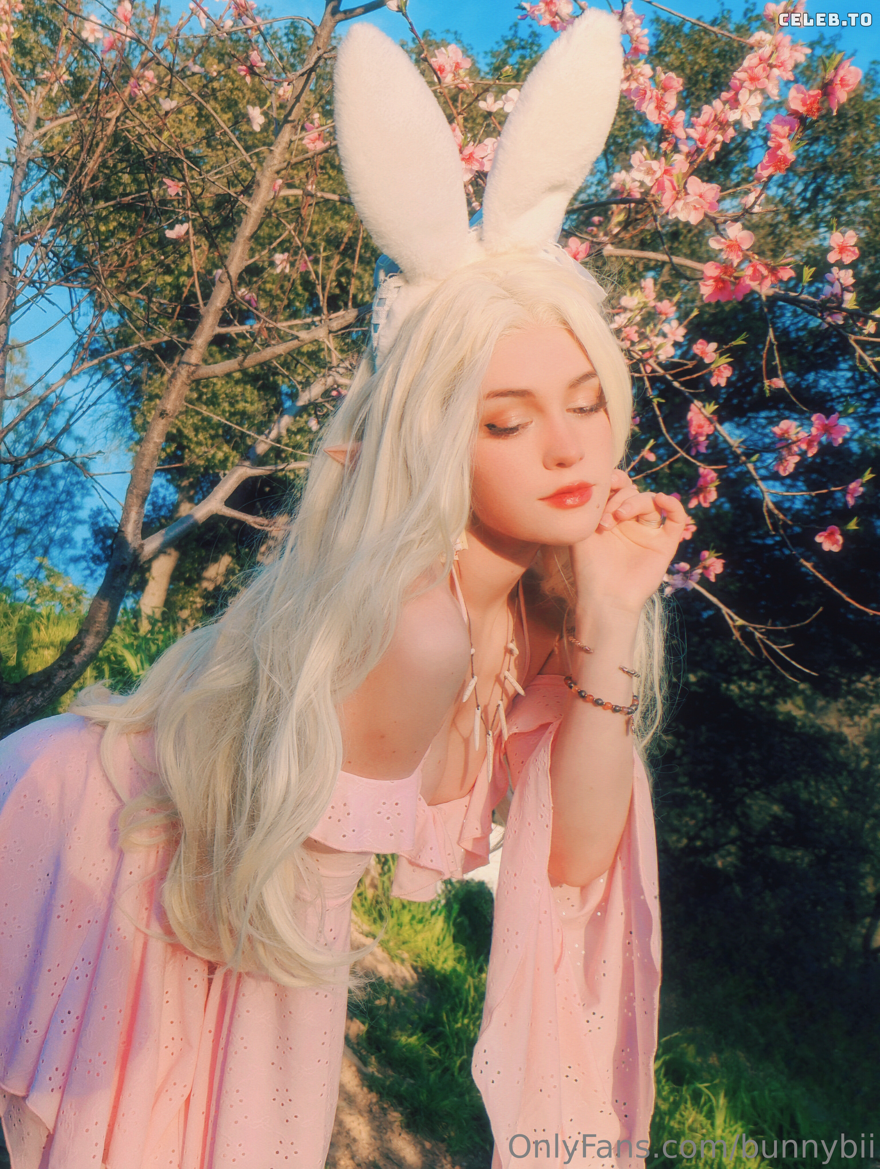 Image 426796 from BunnyBii