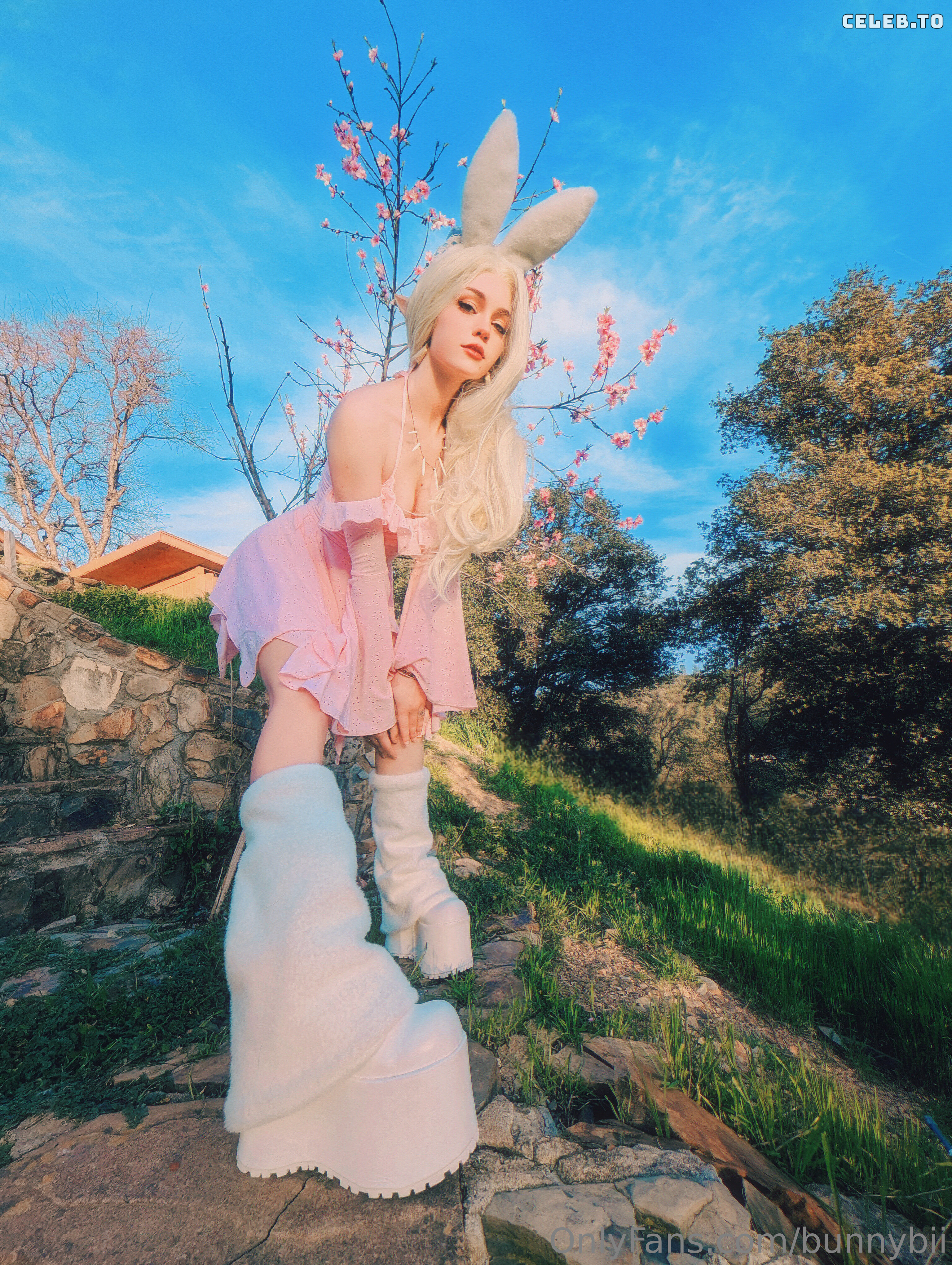 Image 427030 from BunnyBii