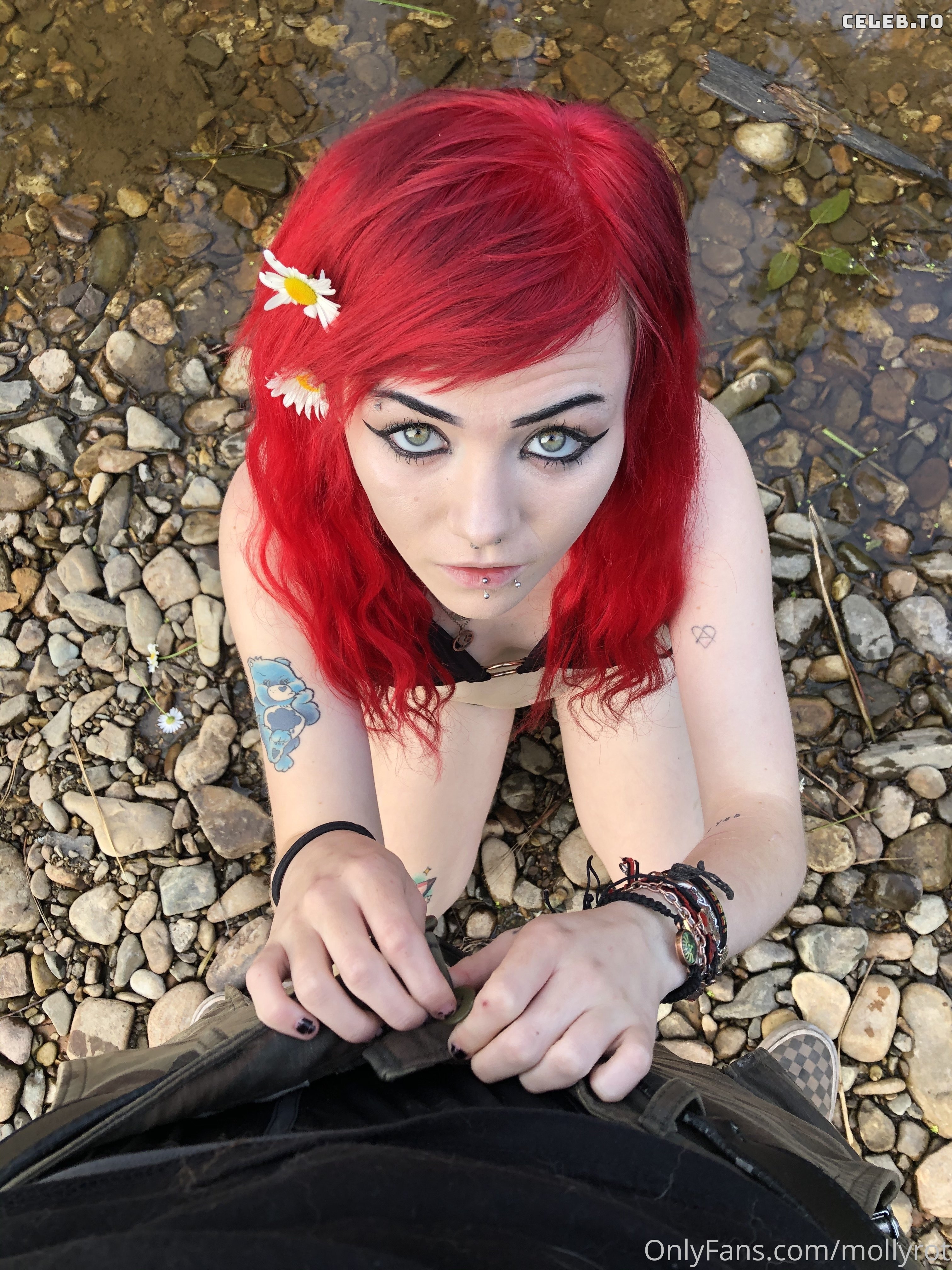 Image 429004 from MollyRot