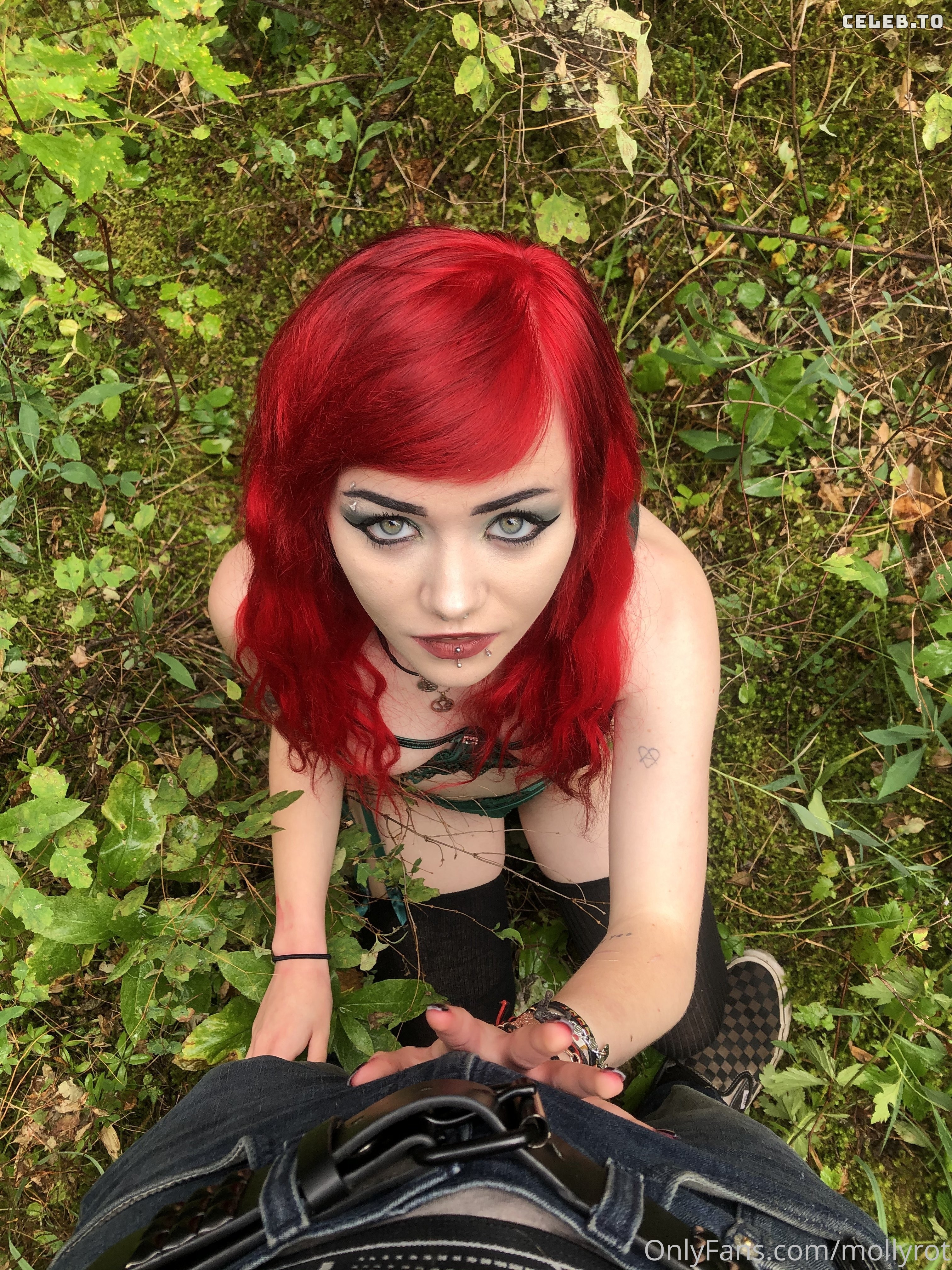 Image 429519 from MollyRot