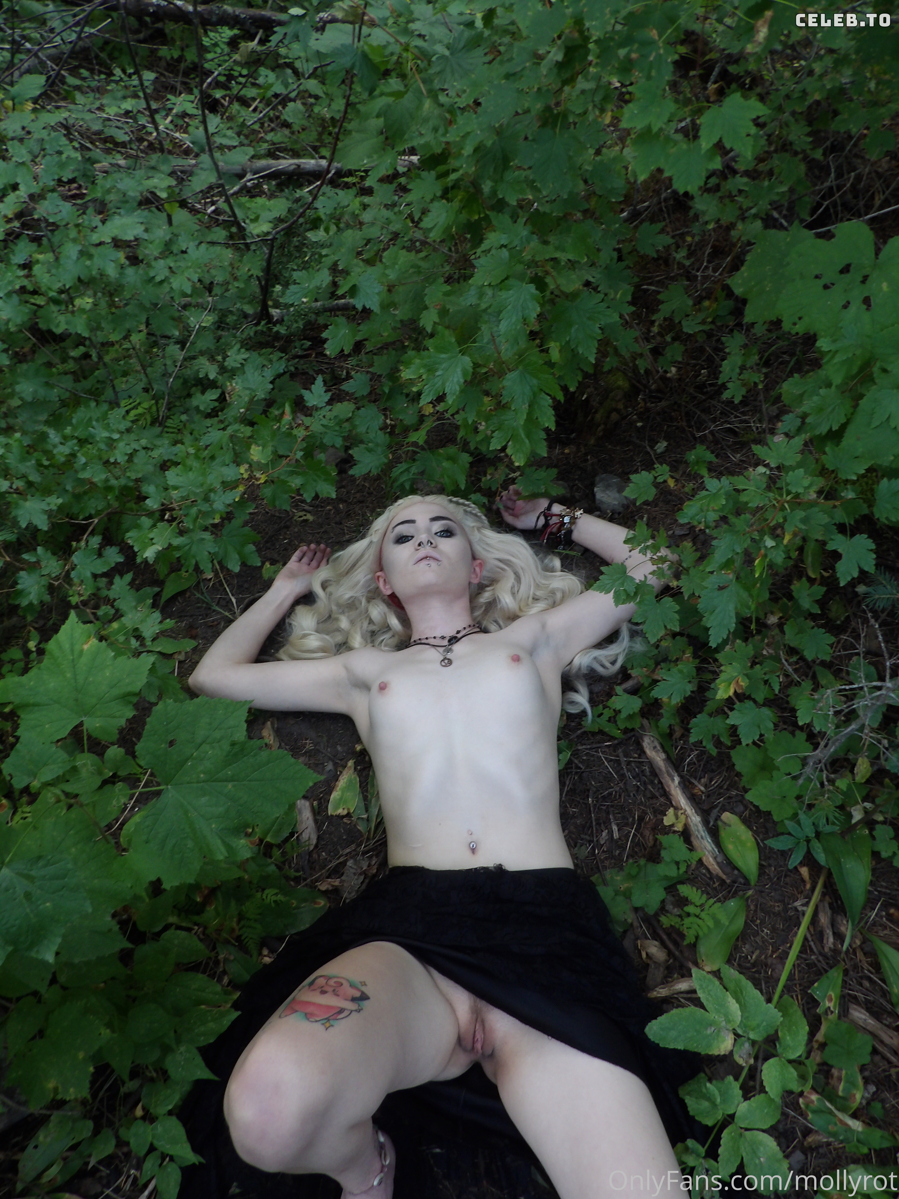 Image 433451 from MollyRot
