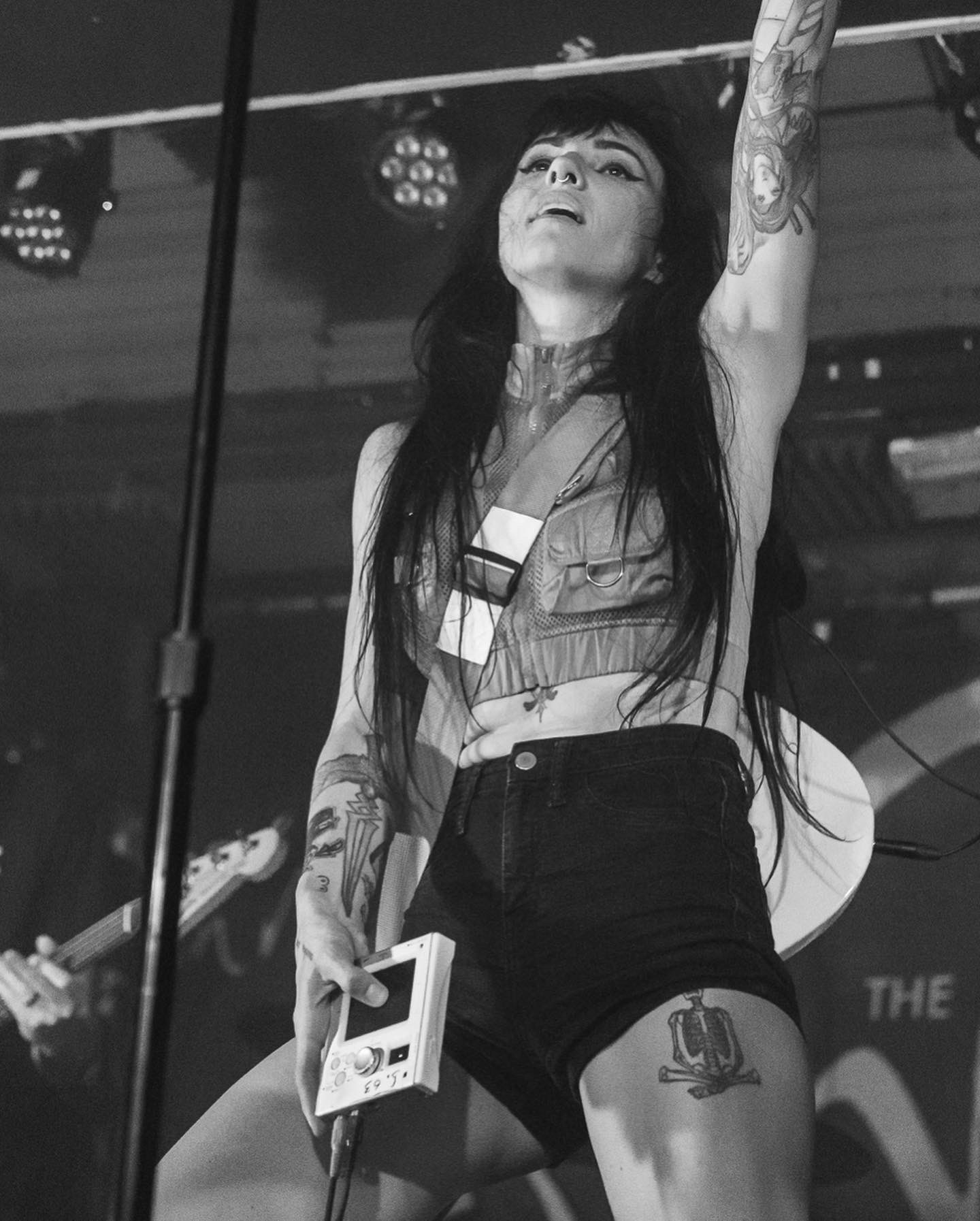 Image 4402615 from Lights Poxleitner