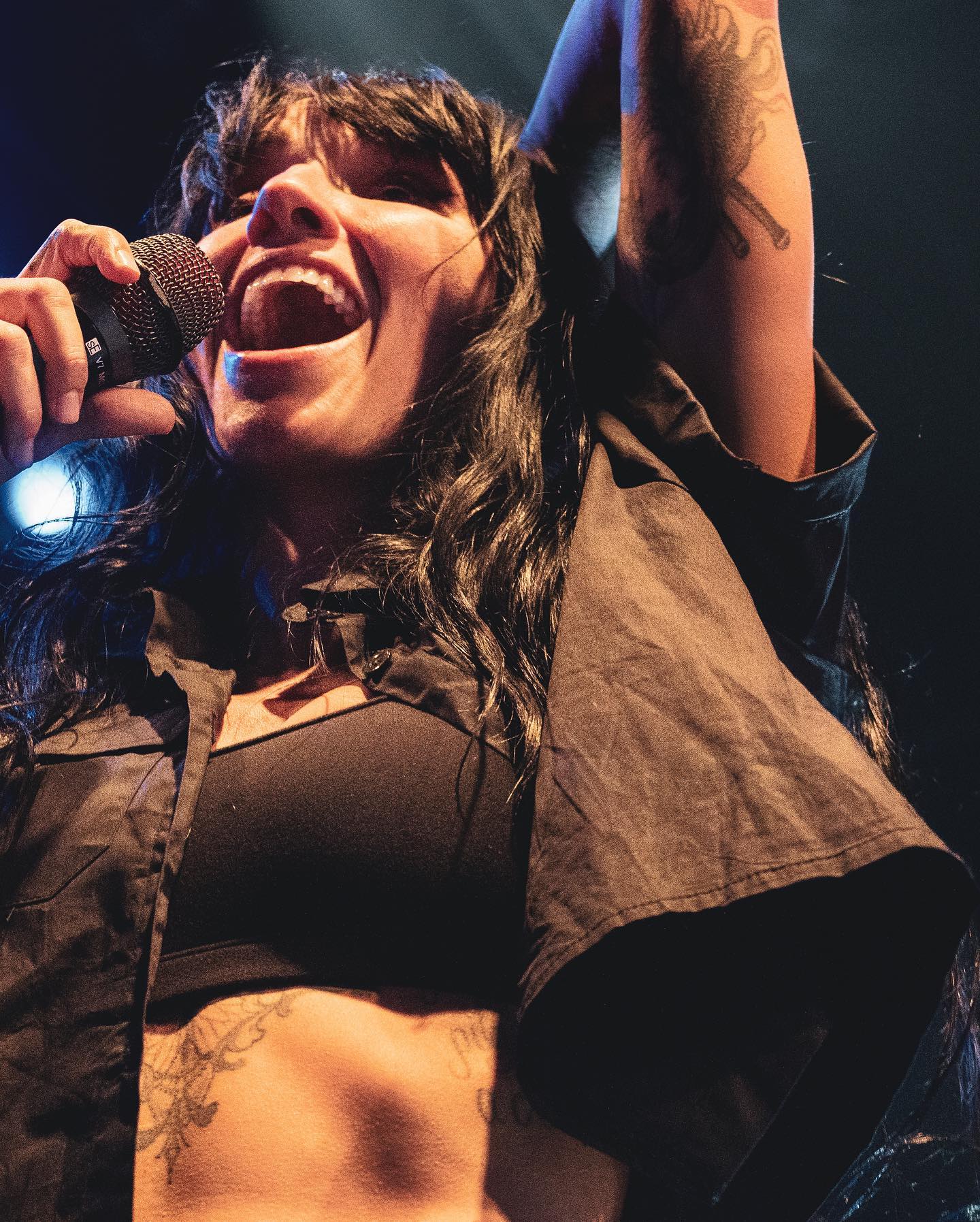 Image 4407788 from Lights Poxleitner