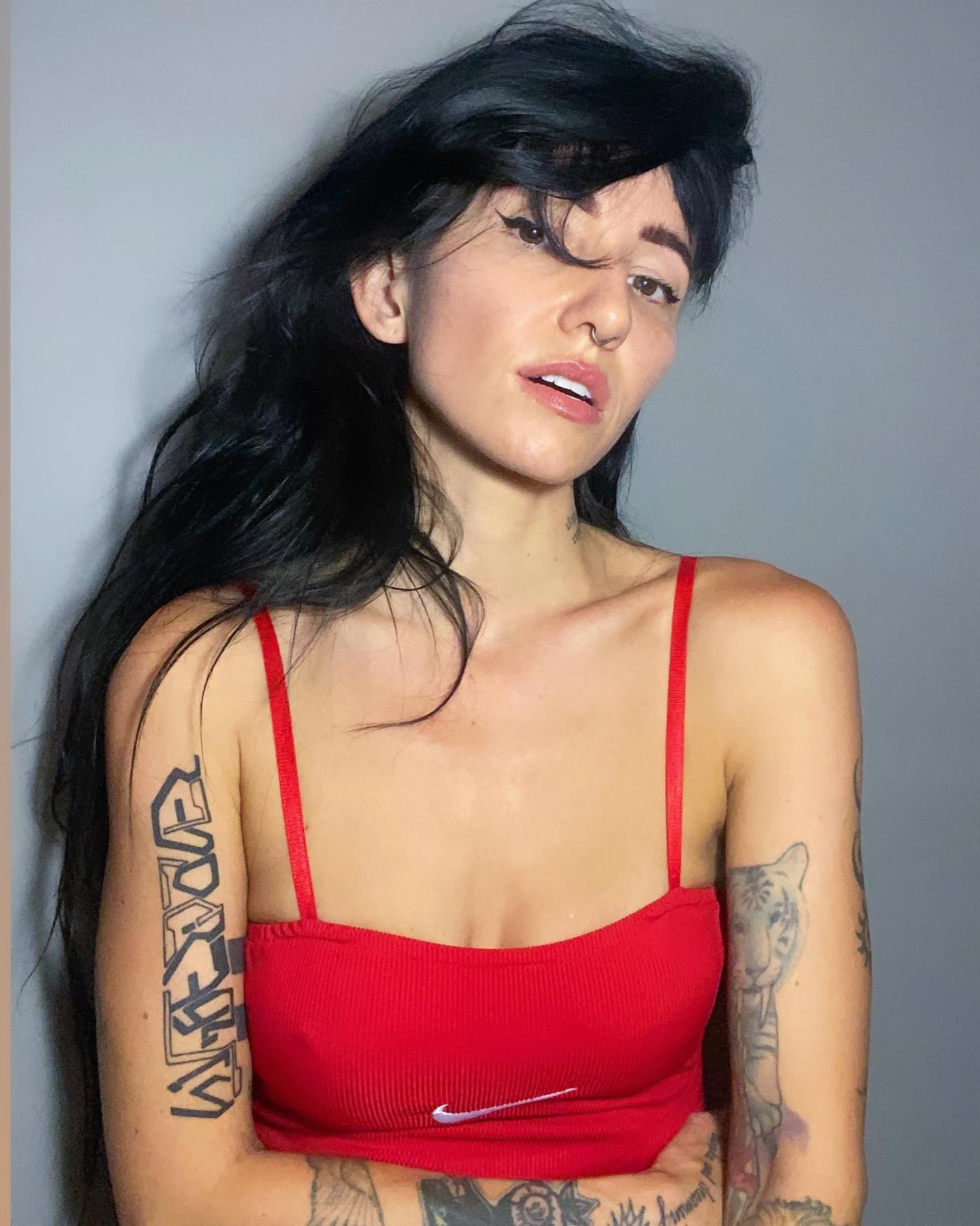 Image 4407999 from Lights Poxleitner