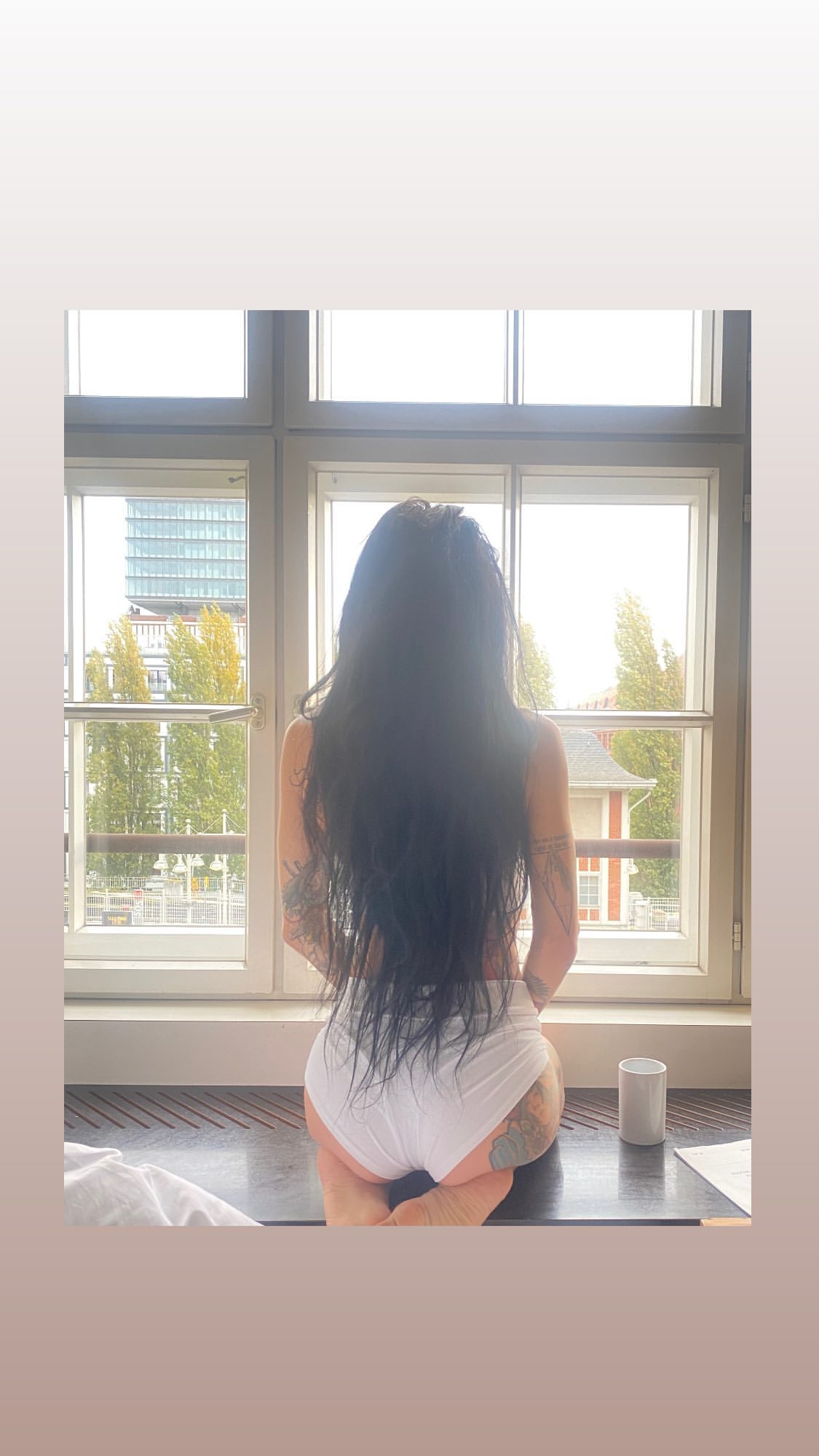 Image 4409072 from Lights Poxleitner
